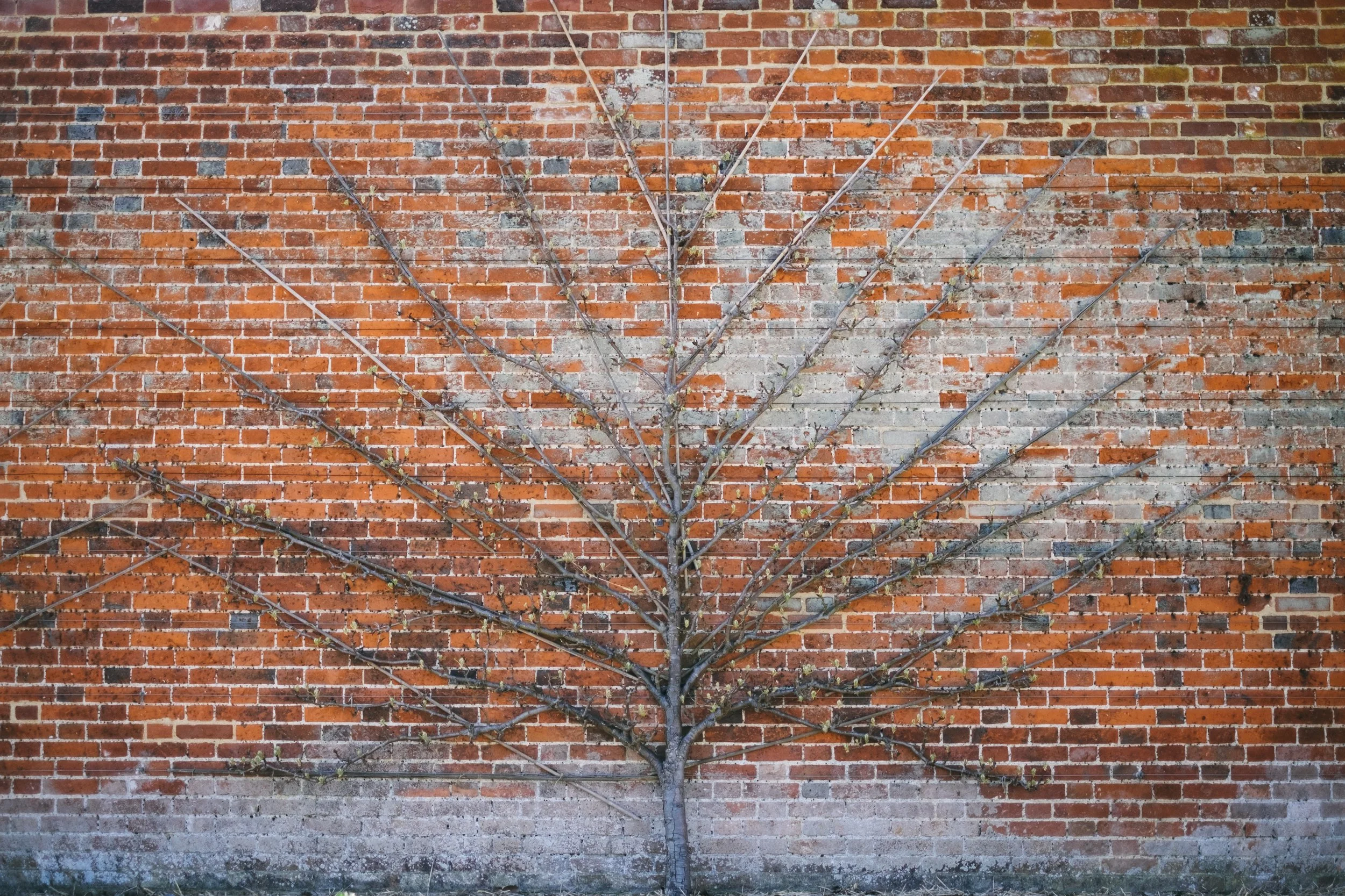 DSCF4418.jpg