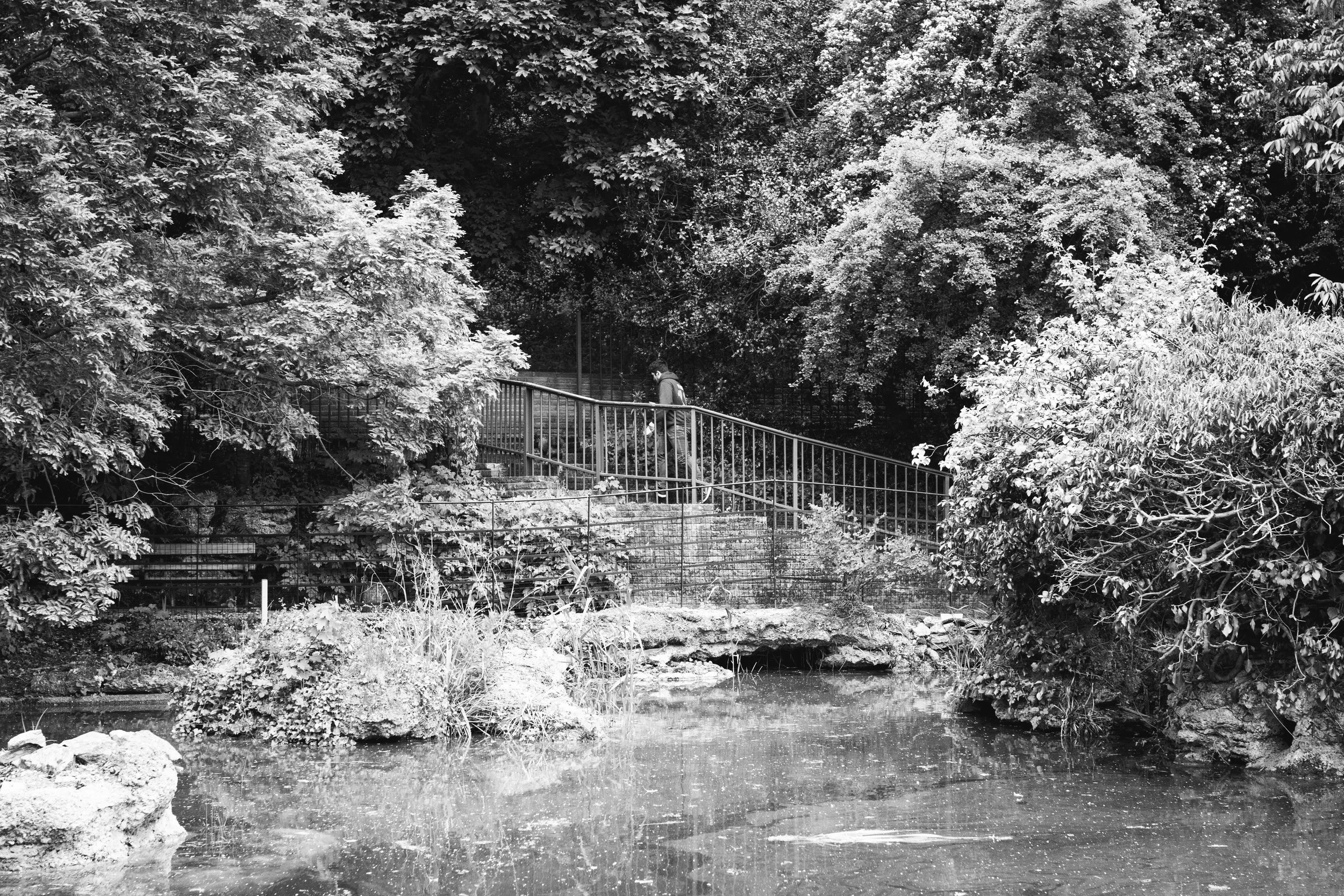 DSC_0111.jpg