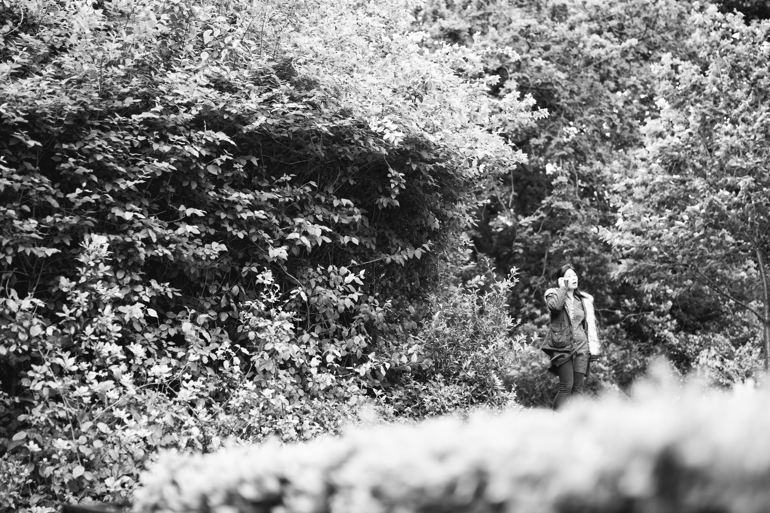 DSC_0154.jpg