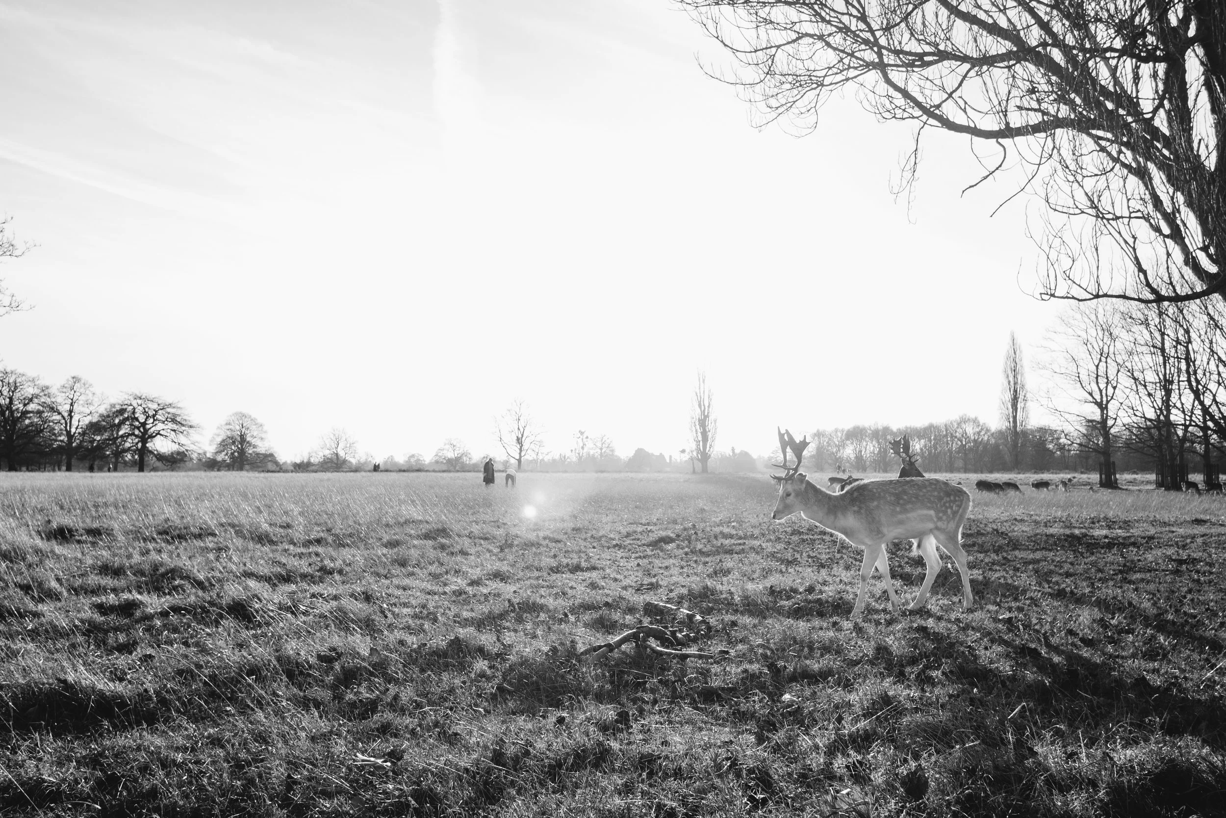 DSCF2579.jpg