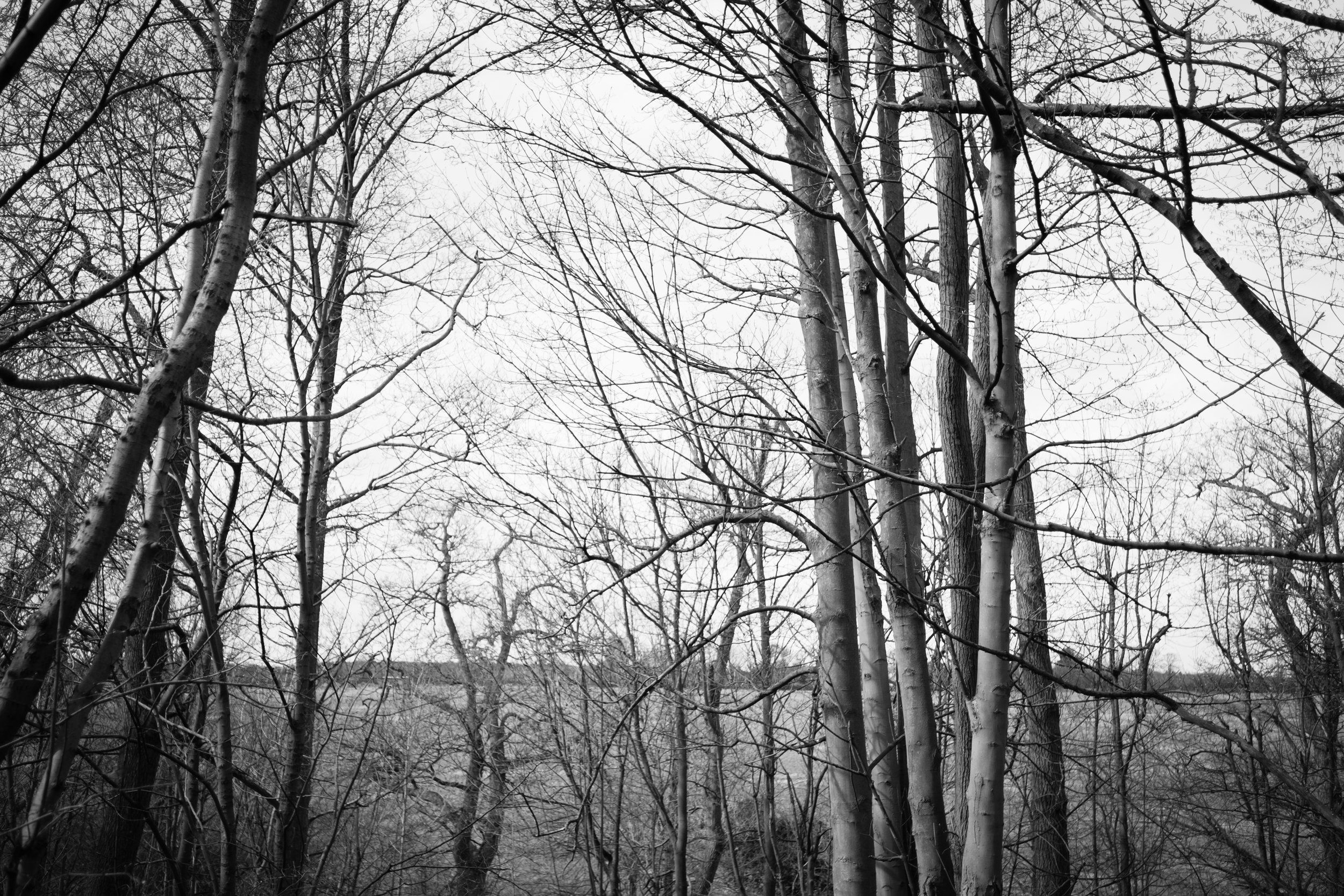 DSCF0519.jpg
