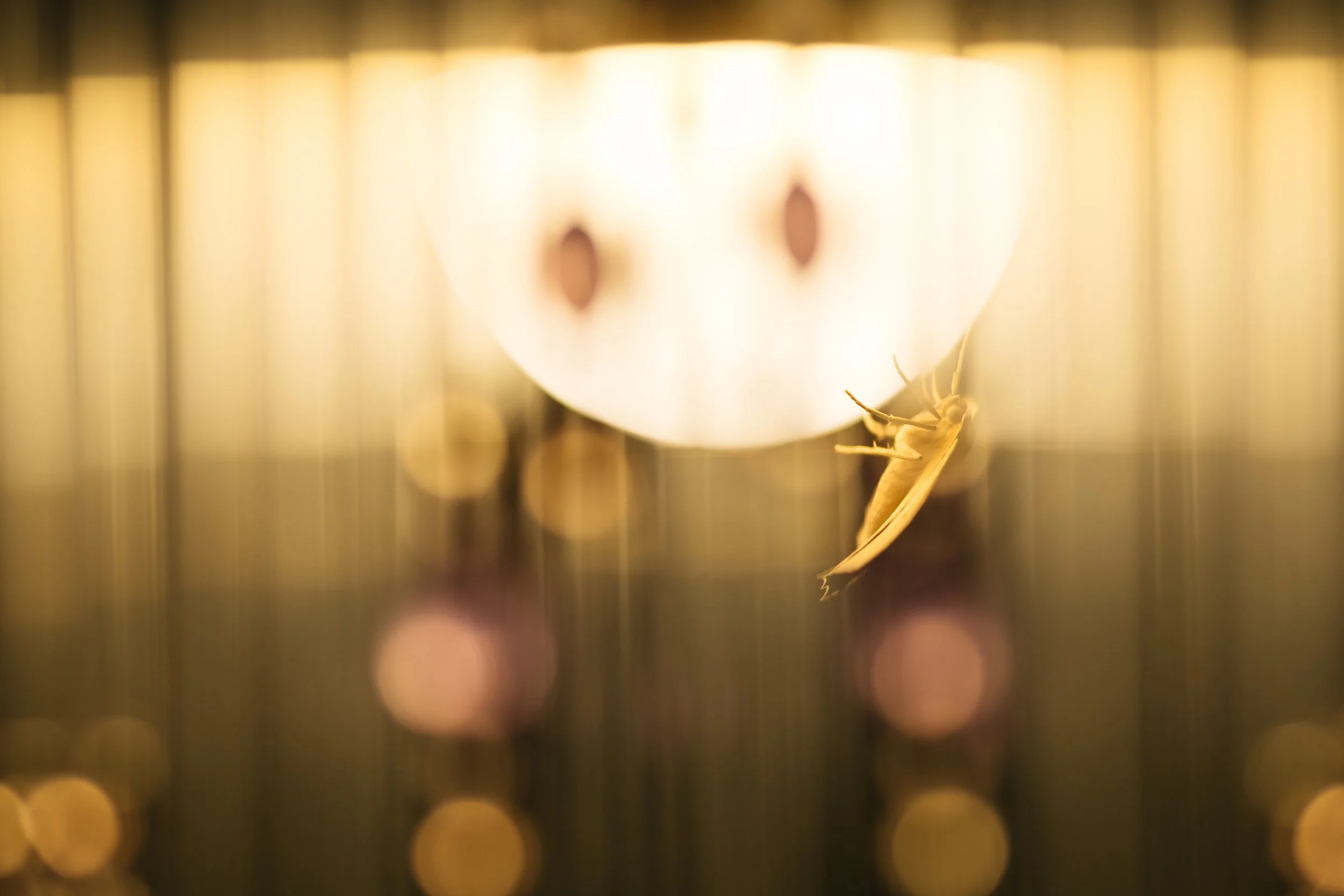 DSCF3640.jpg