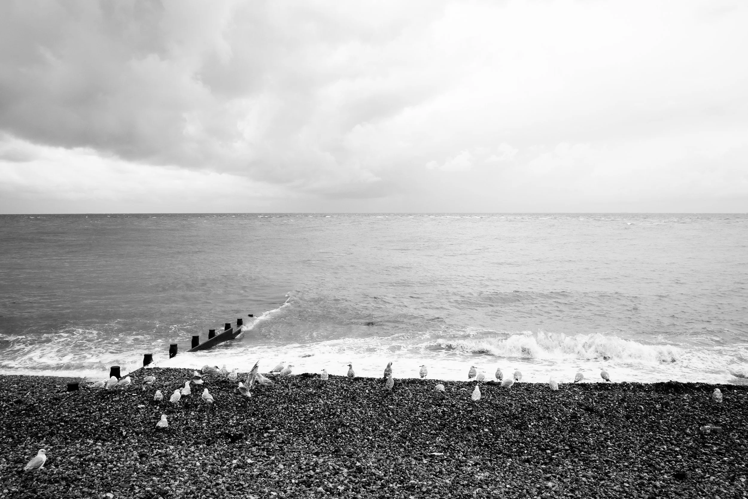 DSCF4940.jpg
