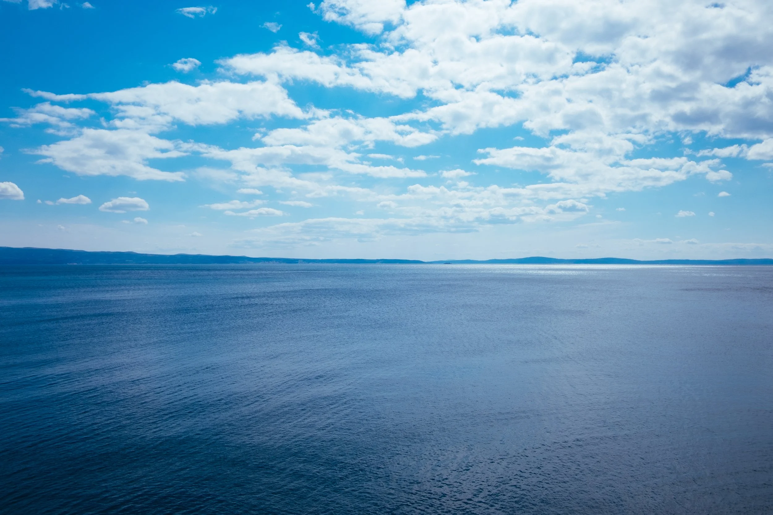 DSCF4516.jpg