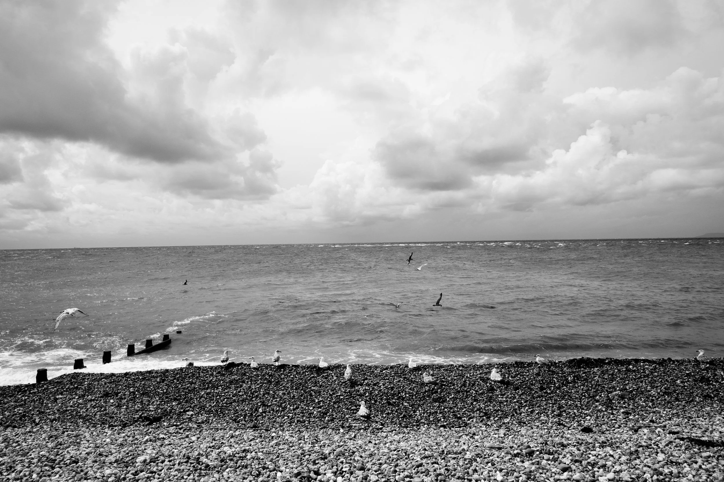 DSCF4896.jpg