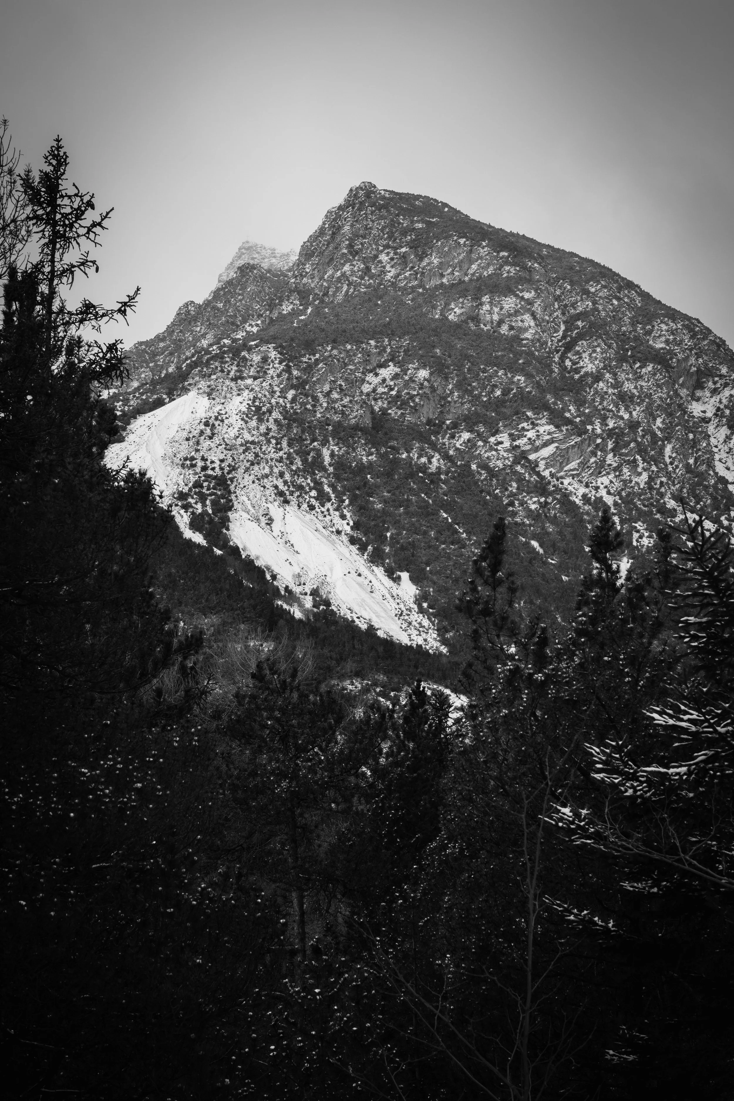 DSCF7552.jpg