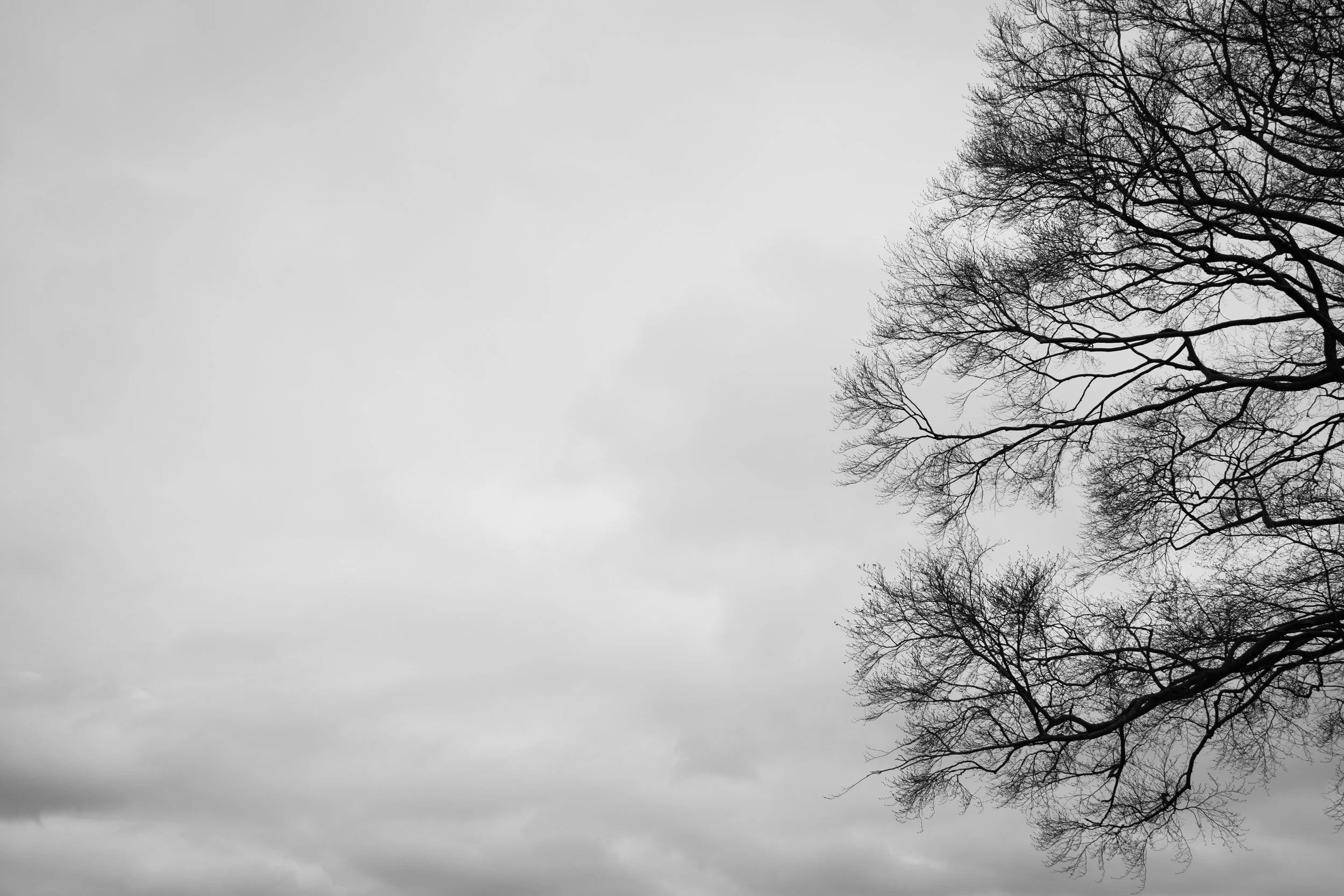 DSCF0569.jpg