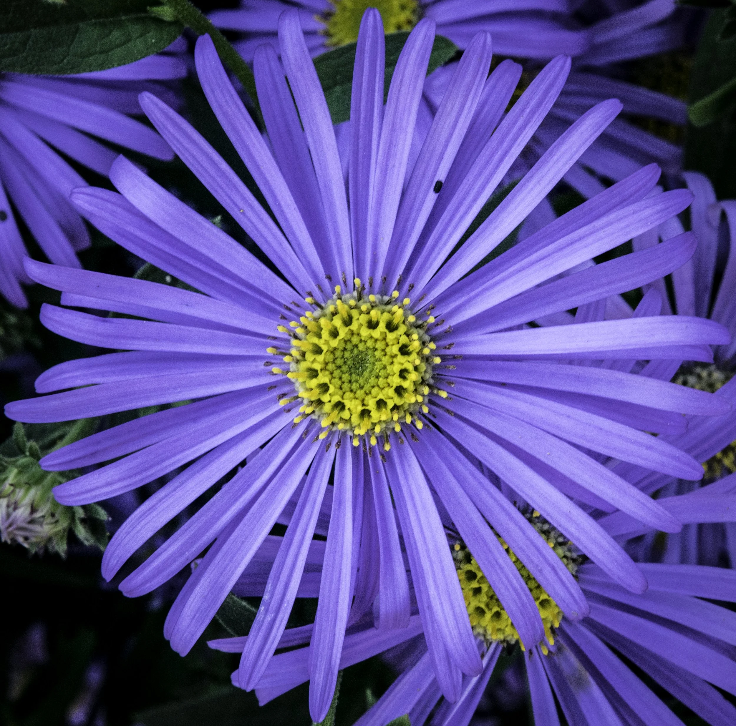 _DSC0155.jpg