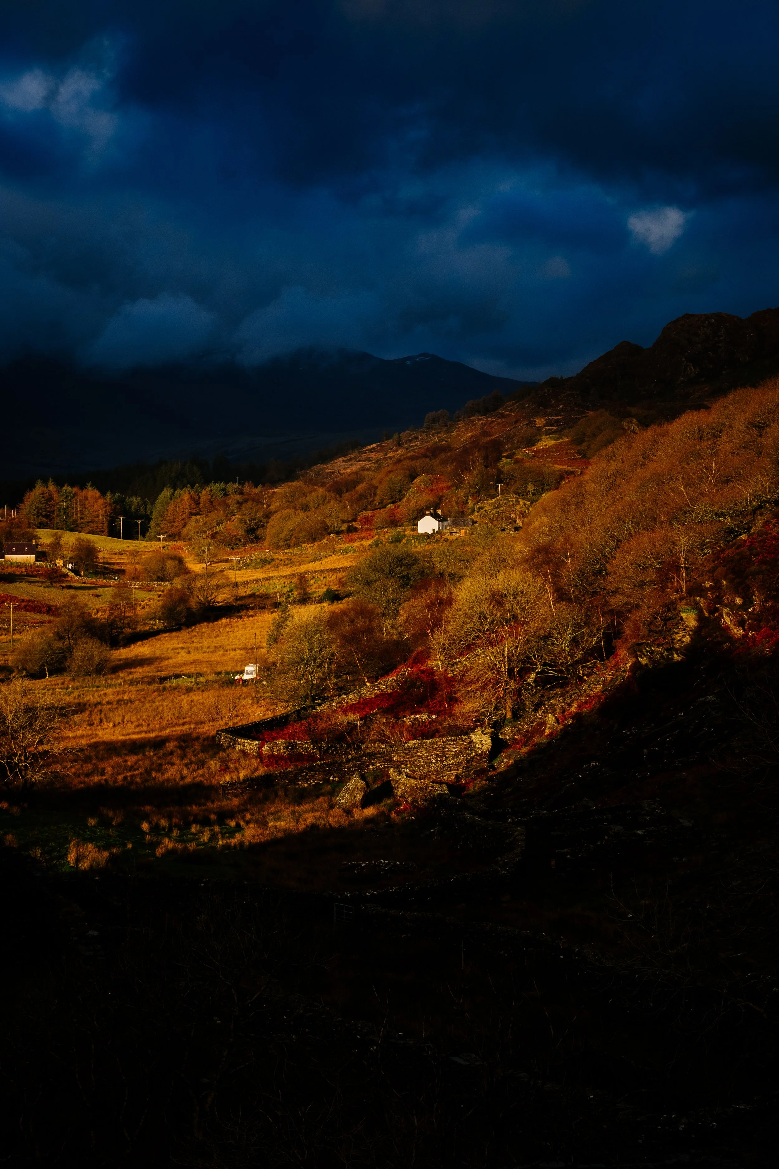 DSCF9829.jpg
