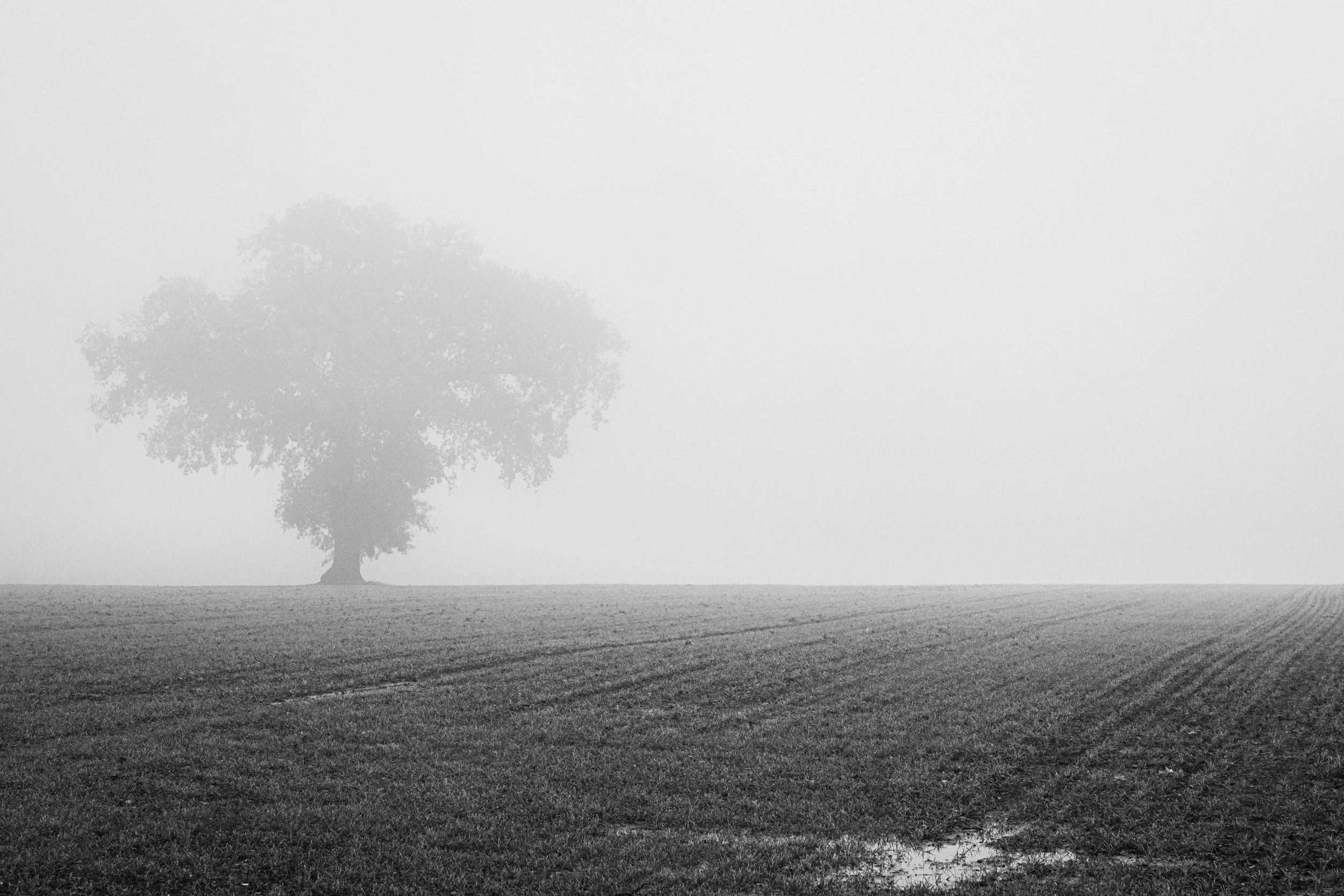 DSCF4701.jpg