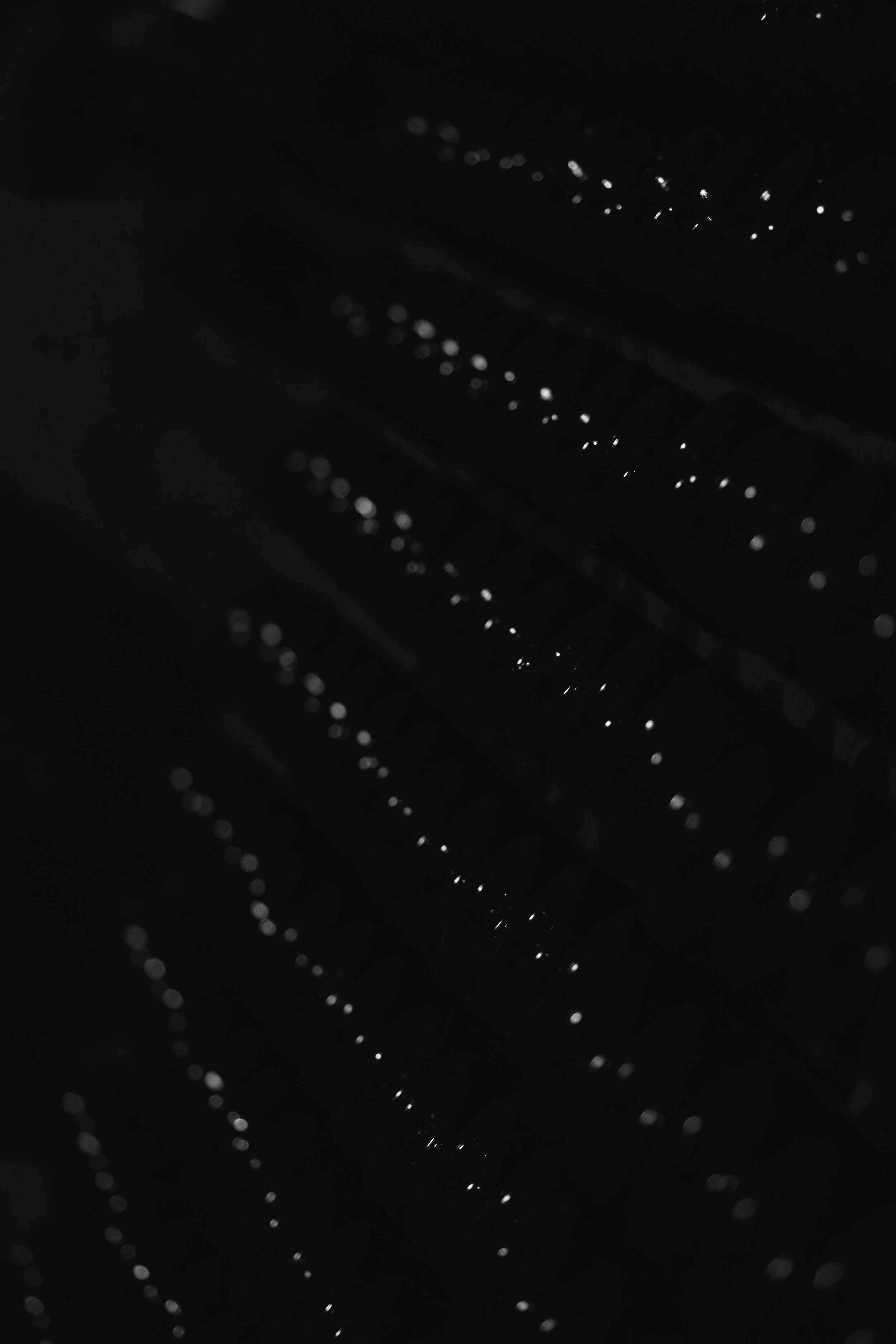 DSCF3140.jpg