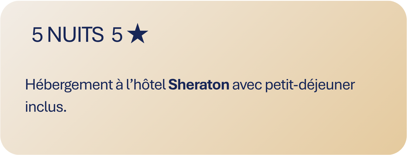 Xi'an Anais Medical Coordination | 5 nuits au hôtel Sheraton avec petit-déjeuner inclus