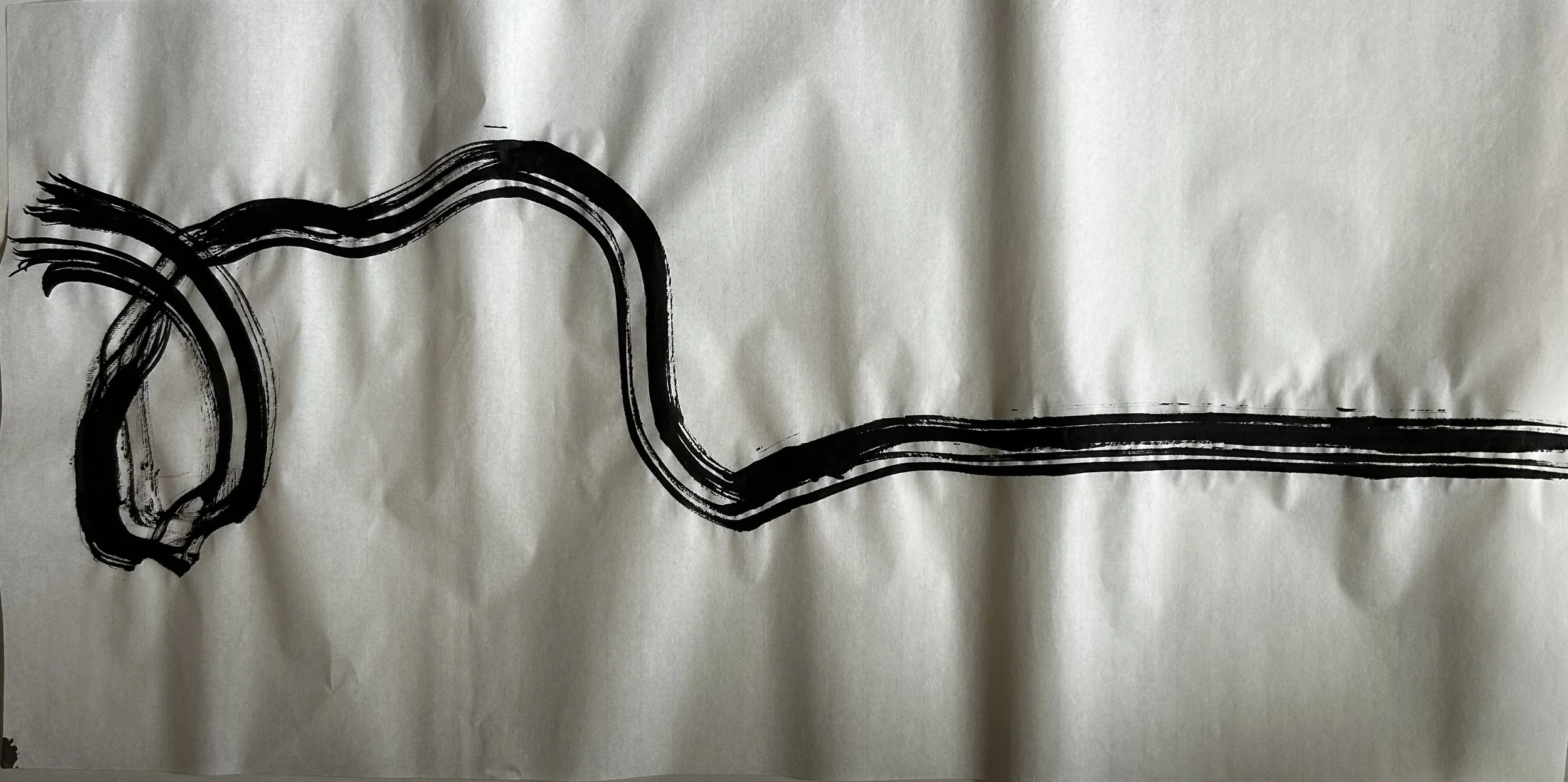 Black ink drawing of a curvy, abstract line on crumpled white paper.