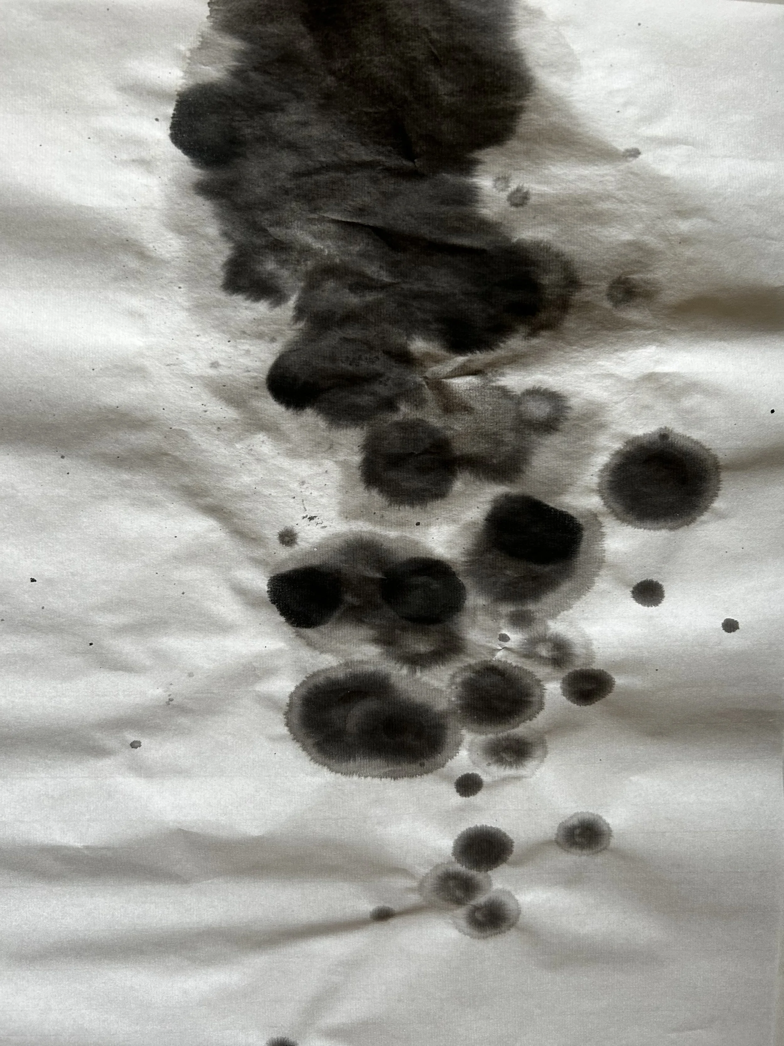 Black inkblot patterns scattered across white paper background, resembling abstract watercolor art.
