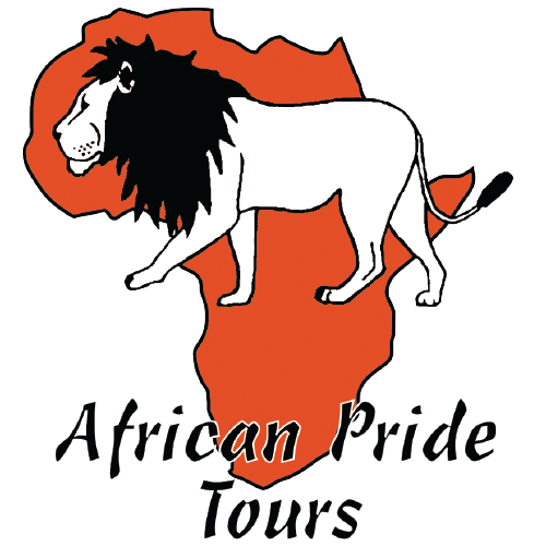 African Pride Tours