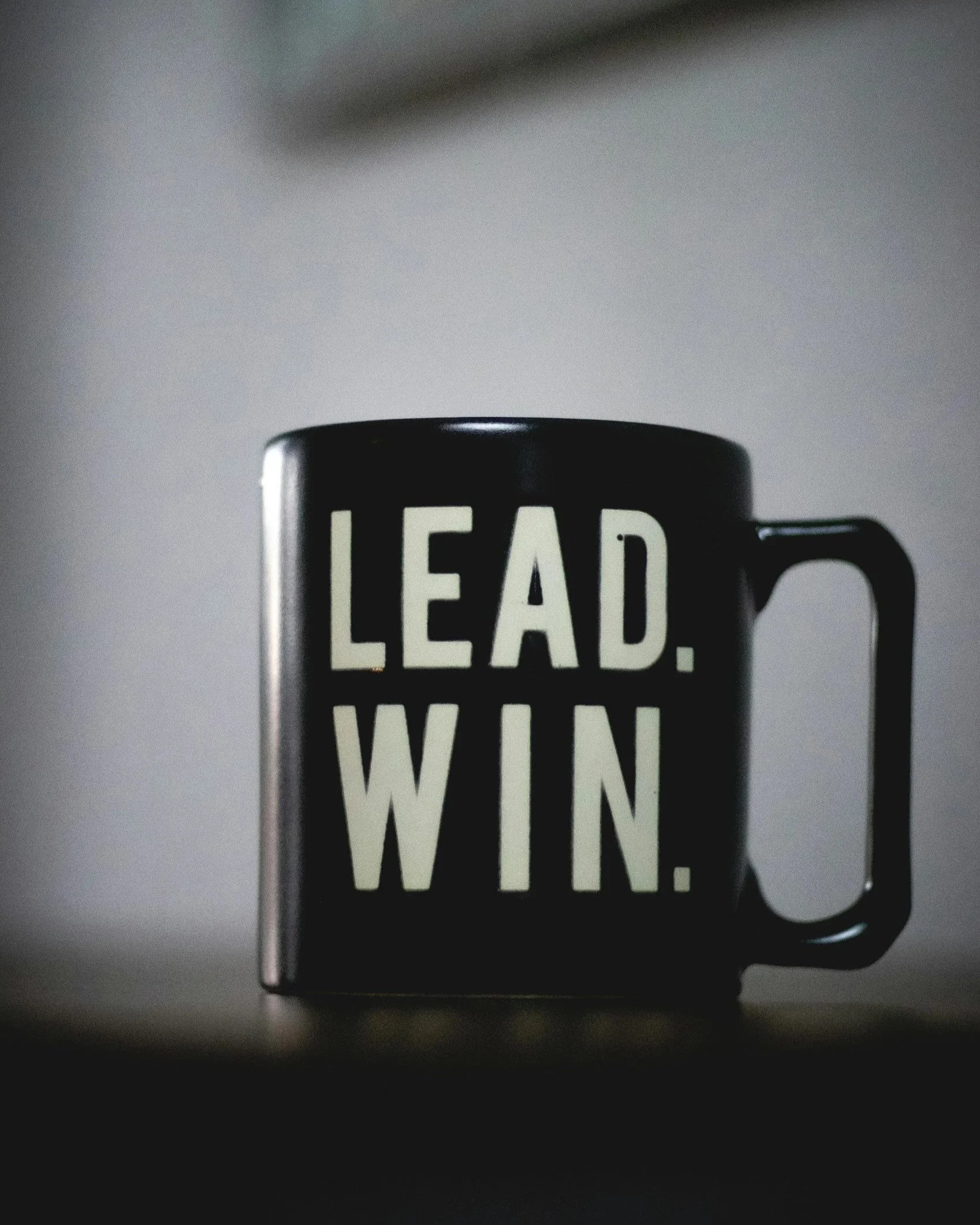 fractional leadership