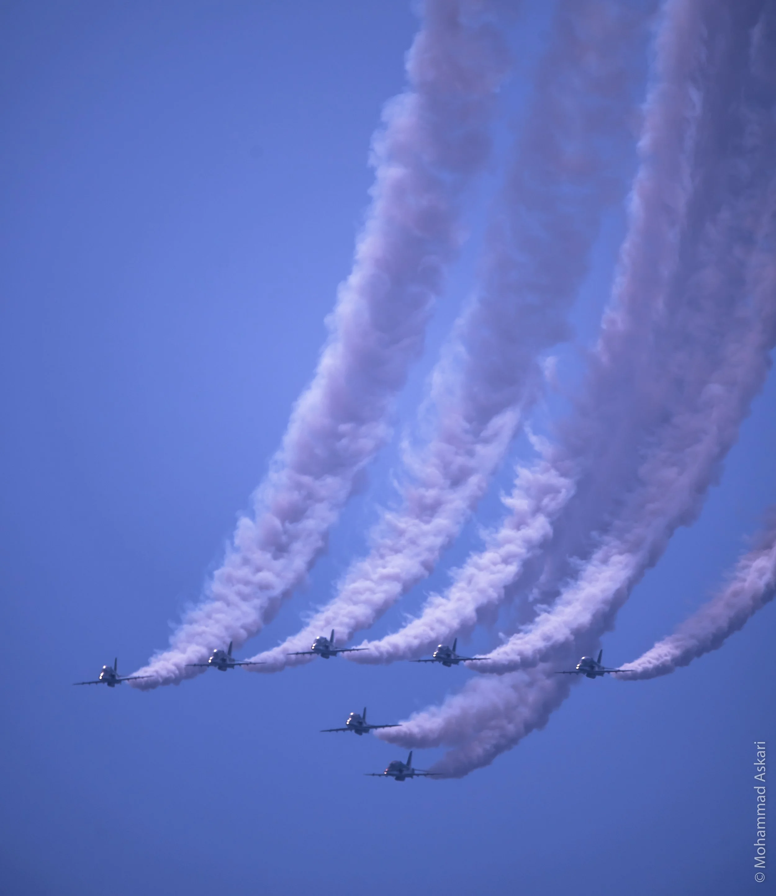 DSC_4177.jpeg