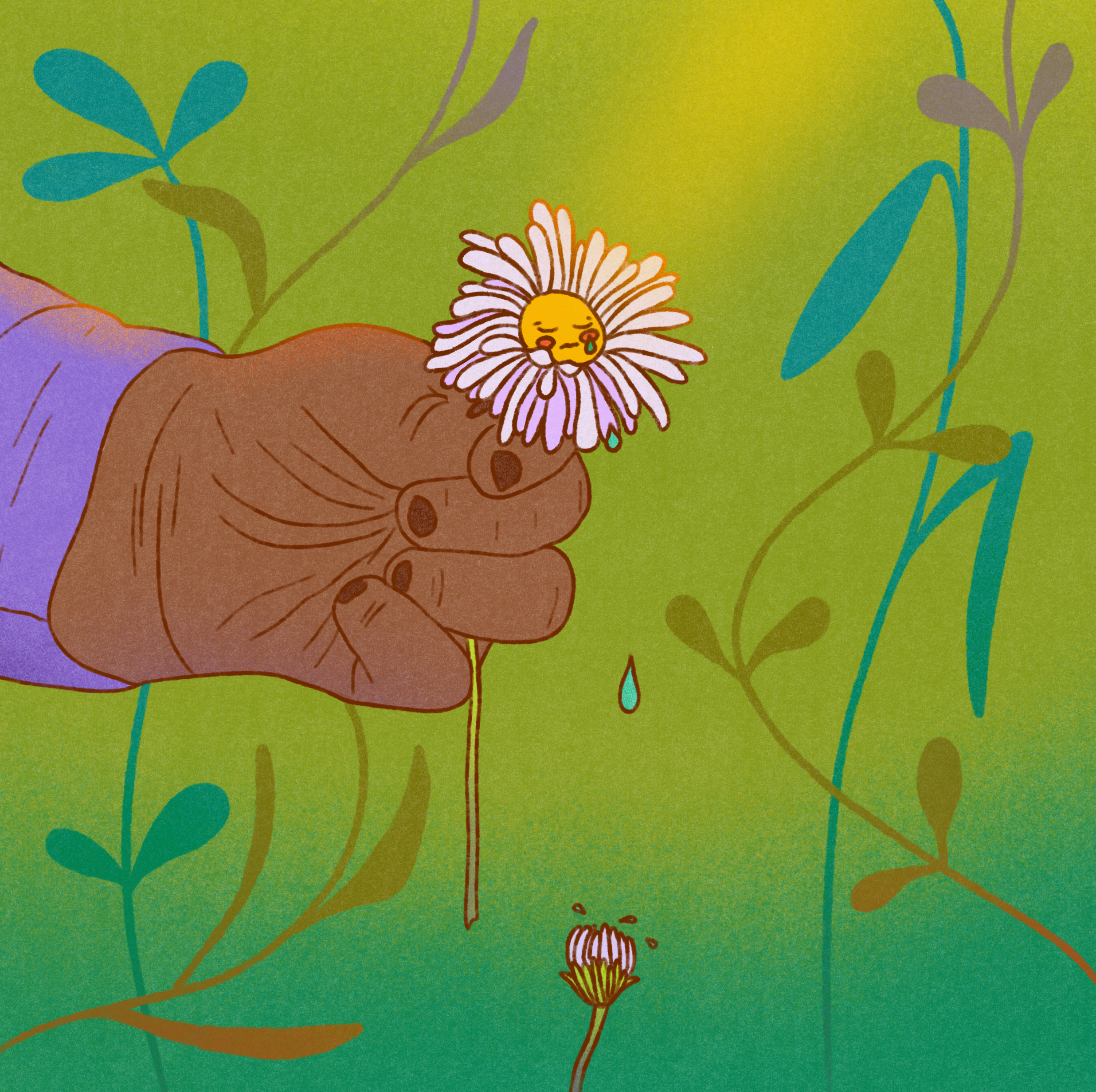 Illustrationen