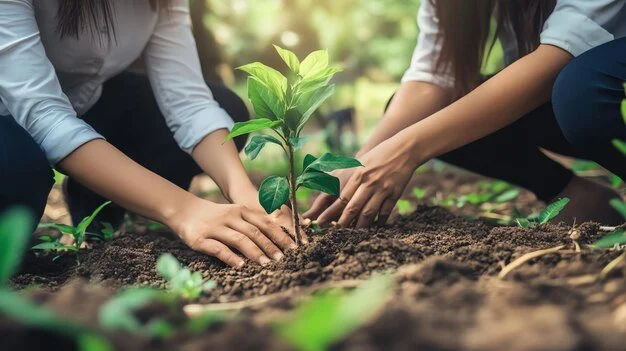Two people planting a young tree in the soil outdoors.