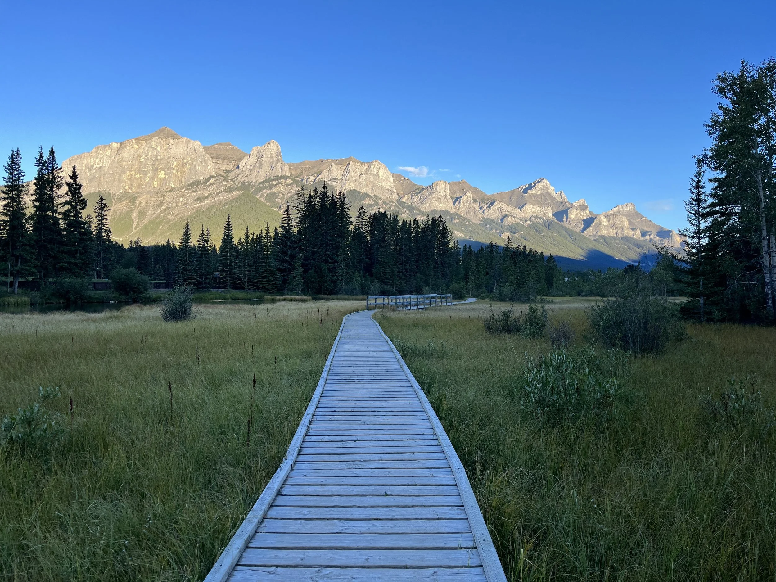 A wooden walkway through a grassy field leading towards mountains under a clear blue sky, with trees on the sides.