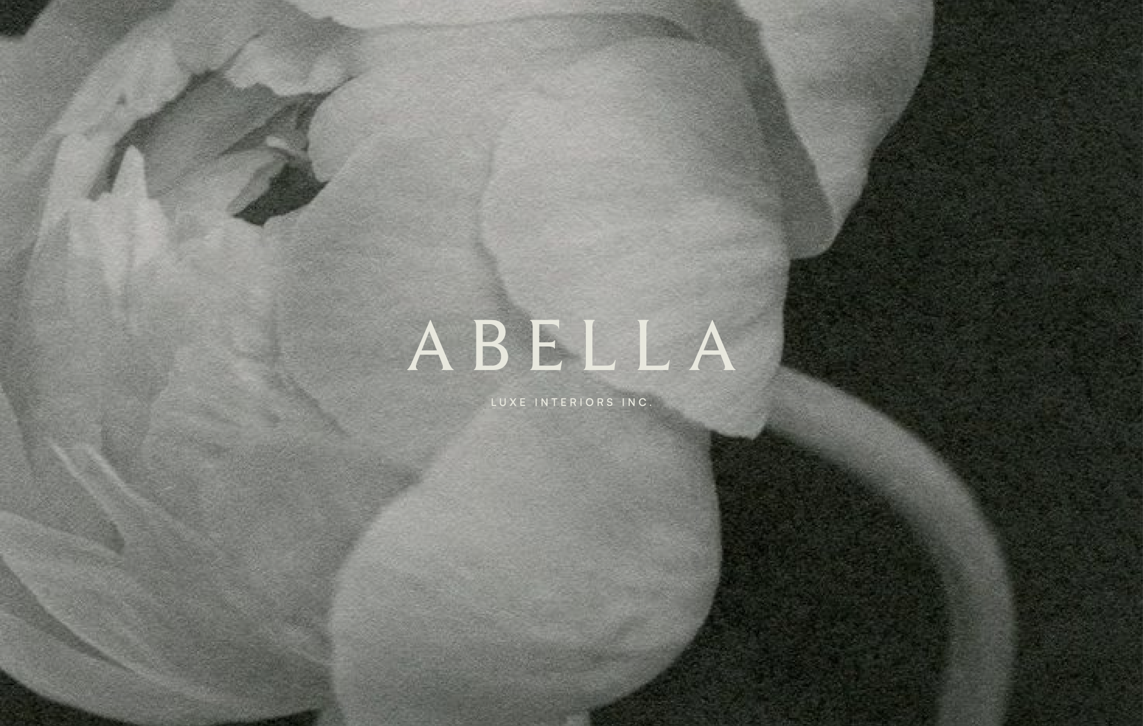A black and white photo of a person holding a rose with a blurred background. The text "ABELLA" and "LUXE INTERIORS INC." is overlaid on the image.