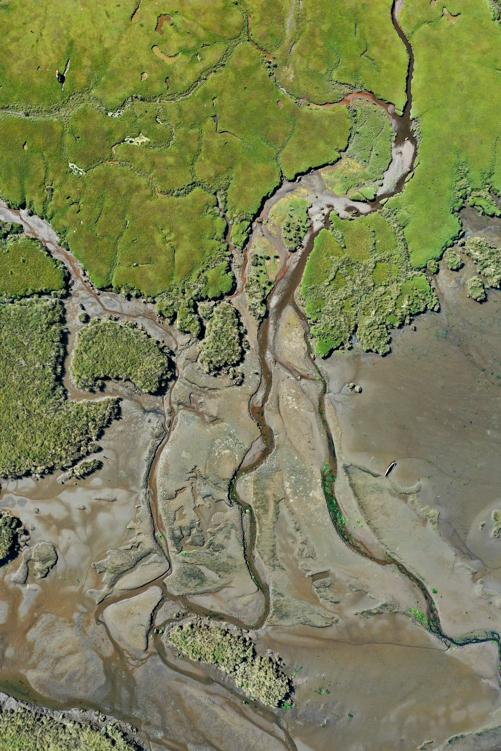 An aerial view of a wetland area with winding streams, small trees, and patches of green vegetation.
