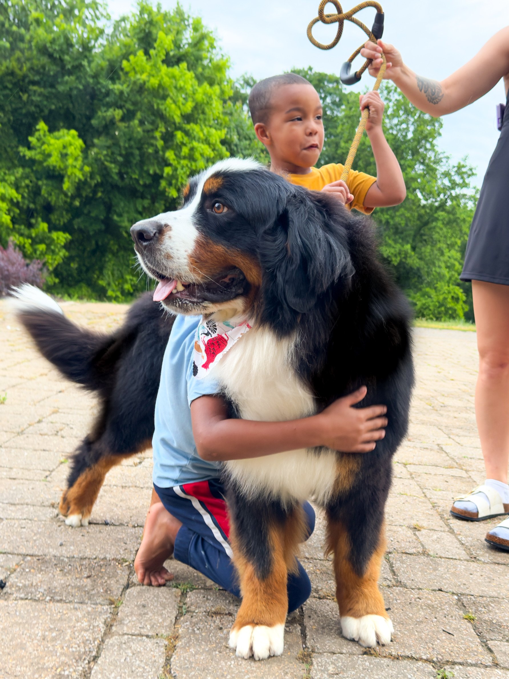 A young boy hugging a large Bernese Mountain Dog outdoors on a paved area, with someone holding the dog's leash. The background has green trees and cloudy sky.