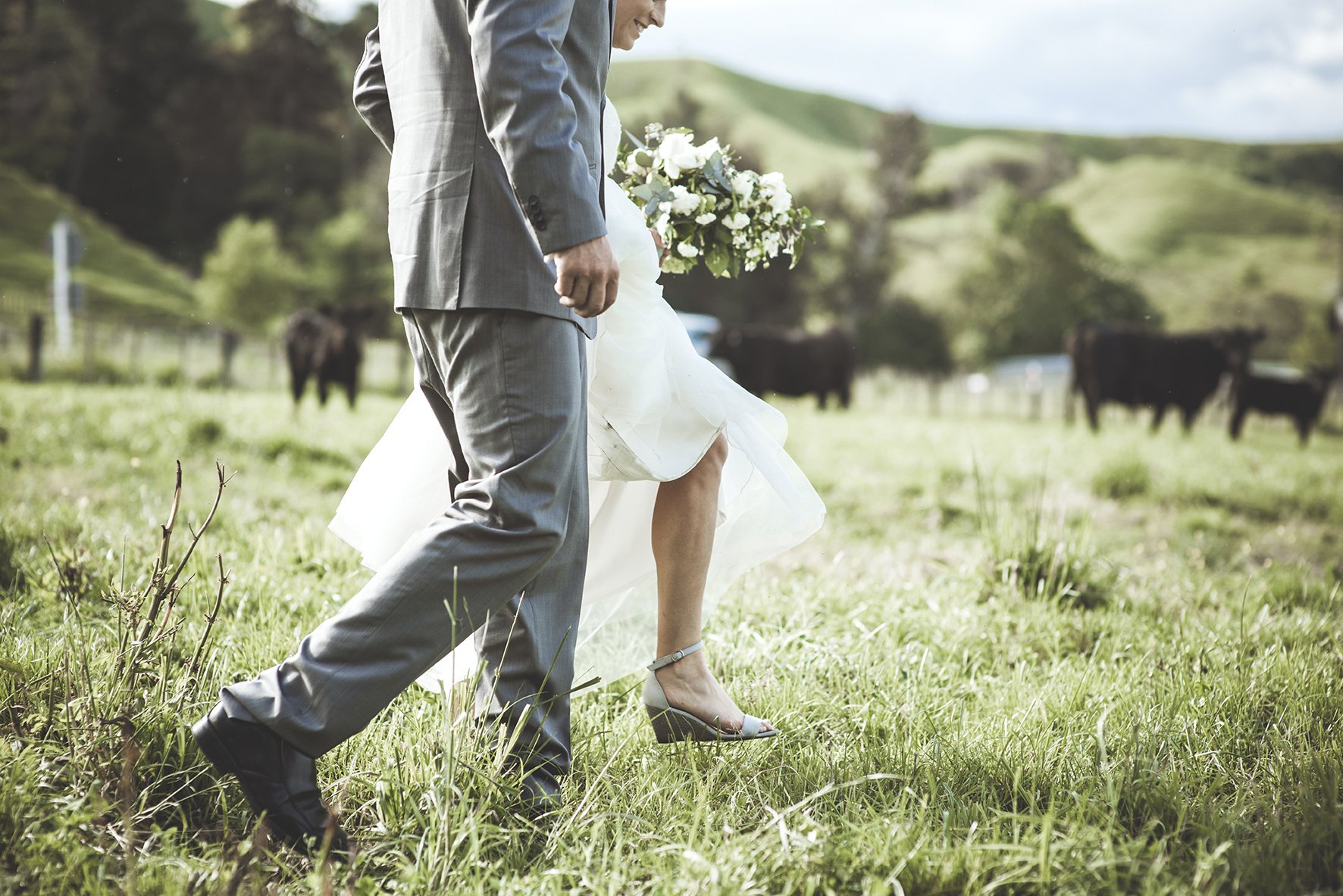 A bride and groom walking outdoors in a grassy field with cows in the background, the bride is holding a bouquet of white flowers, and both are dressed in wedding attire.