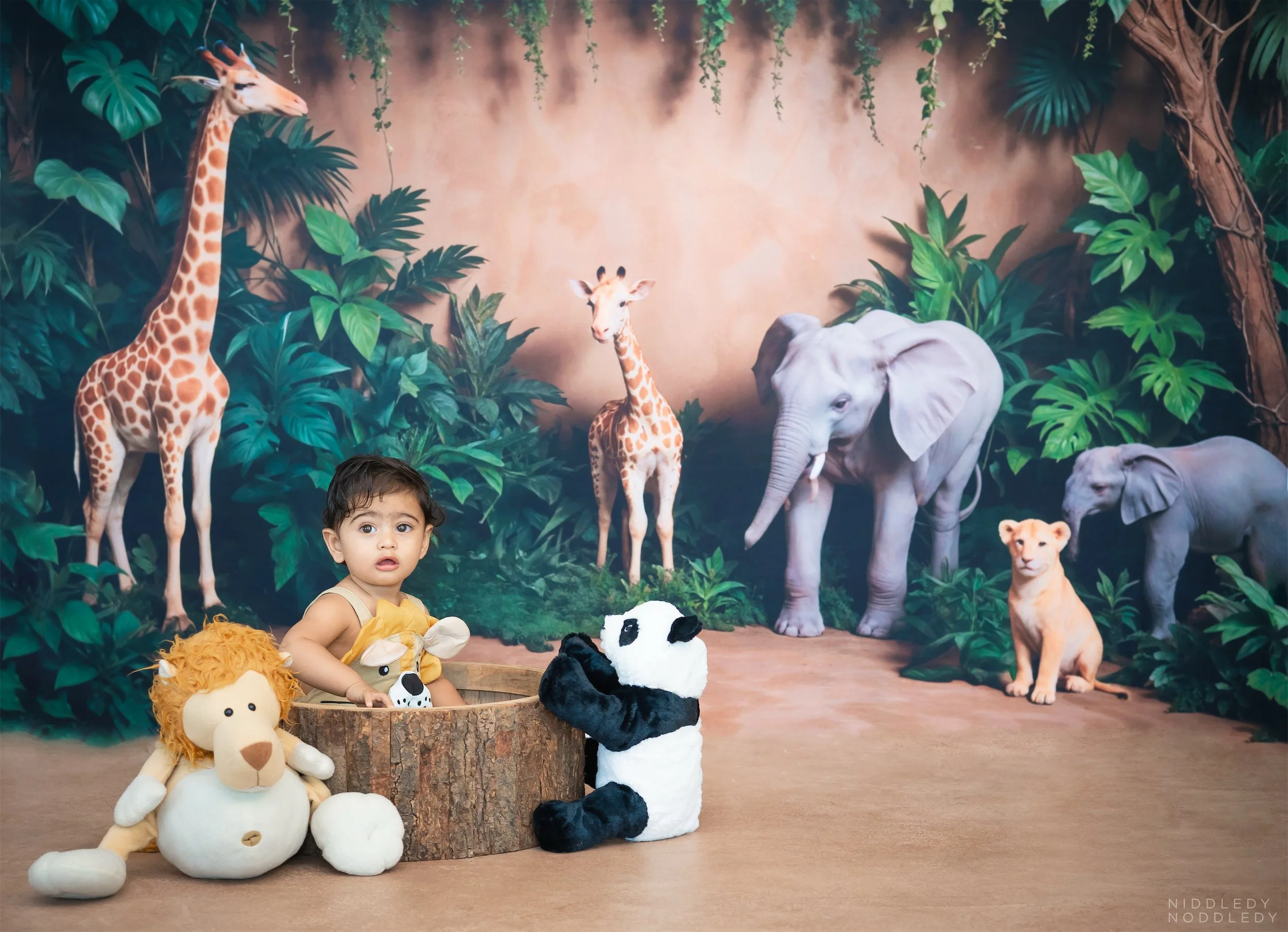 Daiwik Baby Cakesmash Photoshoot ❤ NiddledyNoddledy.com ~ Bumps to Babies Photographer, Kolkata - 06.jpg