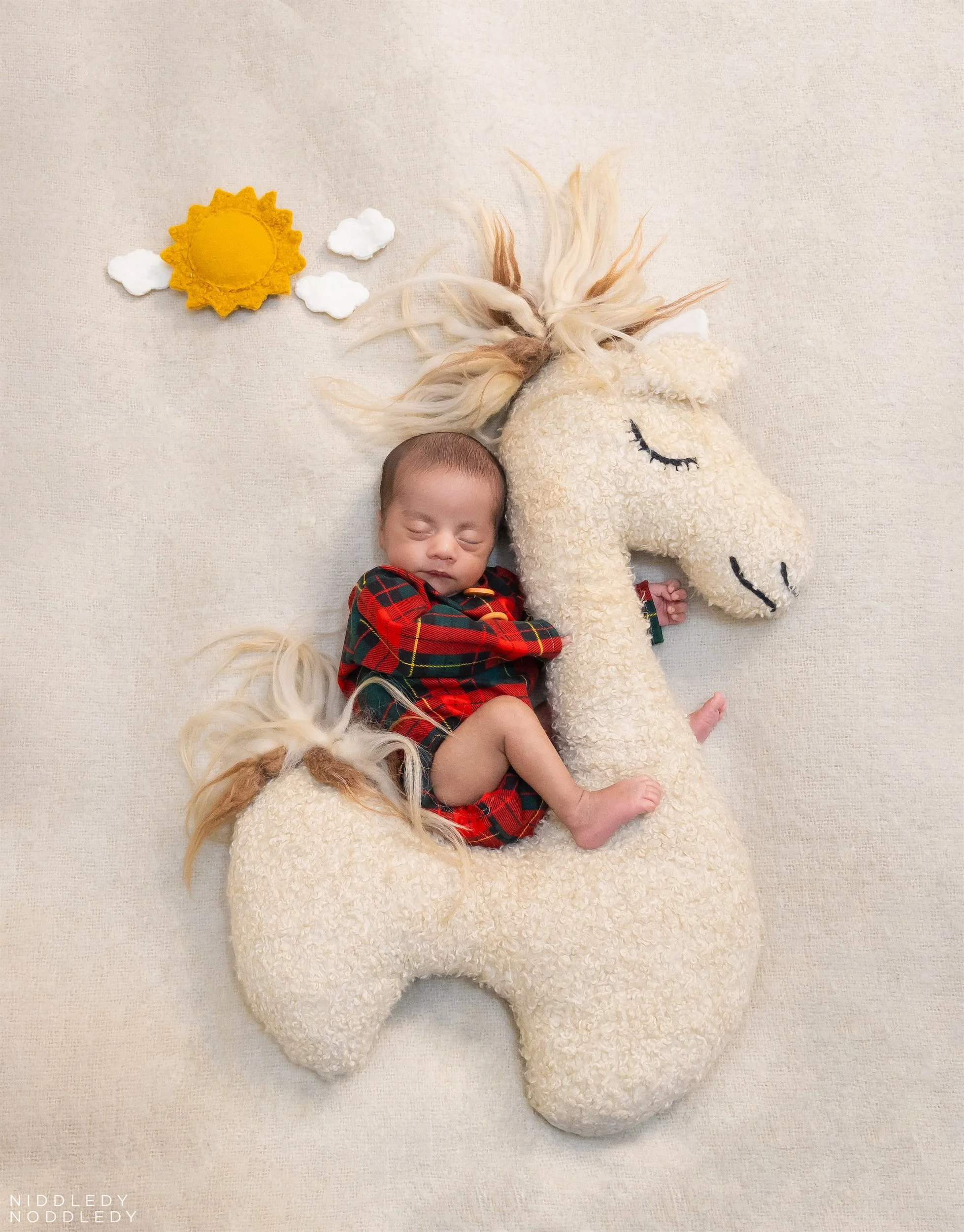 Adhibrata Abhidipta Twins Newborn Baby Photoshoot ❤ NiddledyNoddledy.com ~ Bumps to Babies Photography, Kolkata - 12.jpg