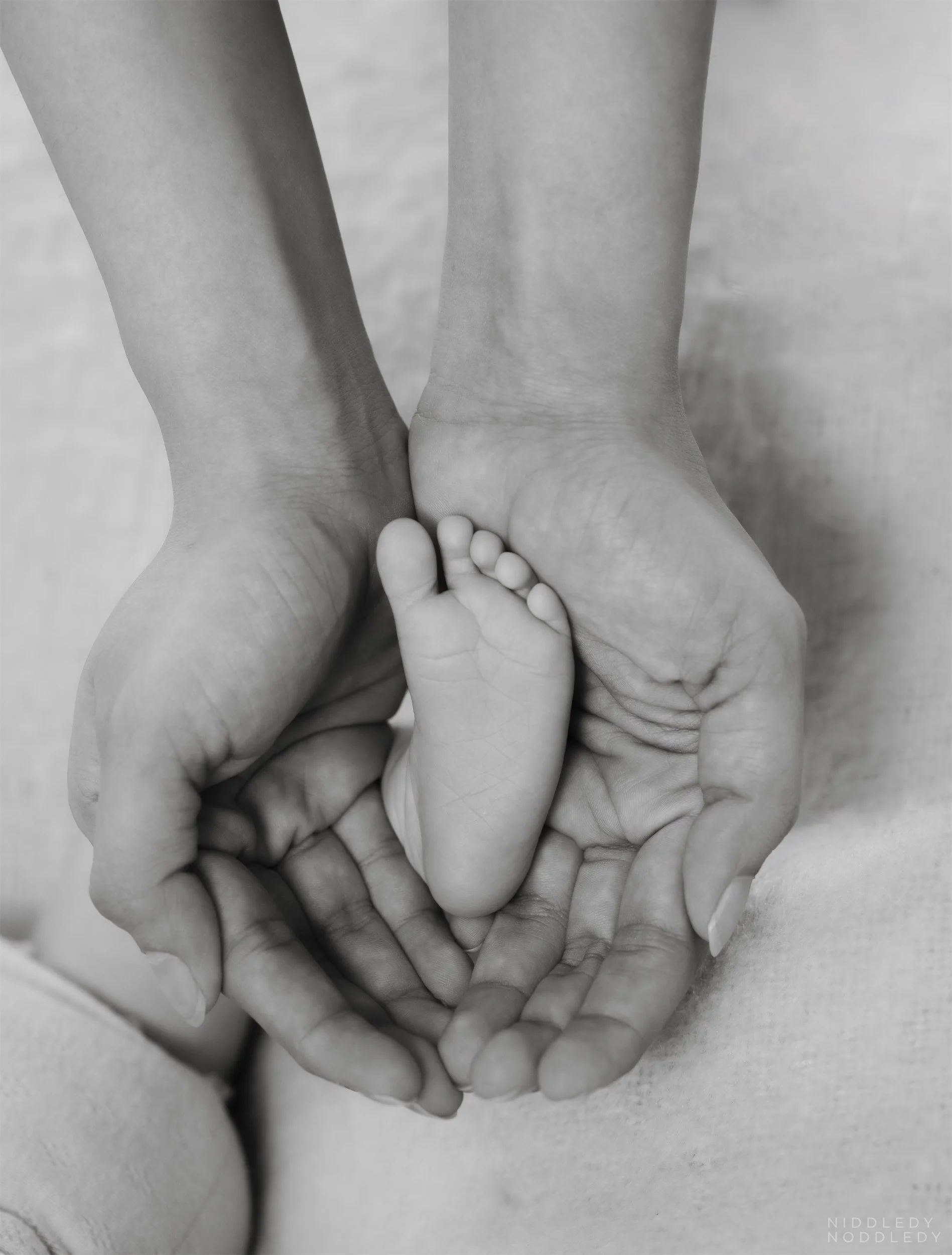 Agarwal Newborn Baby Photoshoot ❤ NiddledyNoddledy.com ~ Bumps to Babies Photography, Kolkata - 08 .jpg