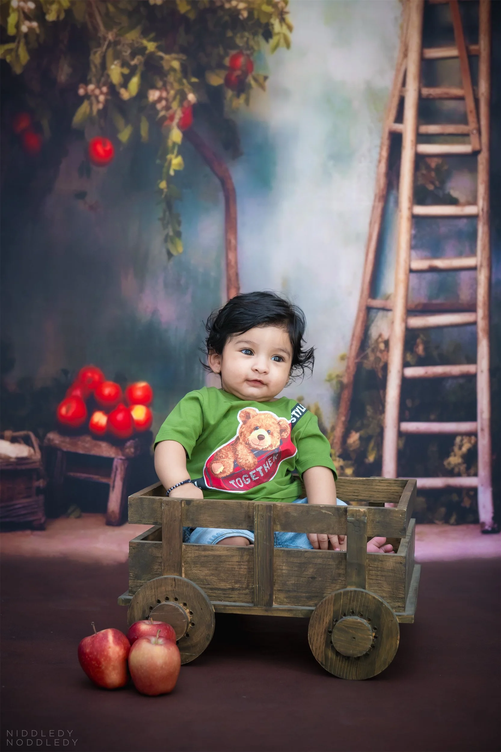 Keshav Baby Photoshoot ❤ NiddledyNoddledy.com ~ Bumps to Babies Photography, Kolkata - 02.jpg
