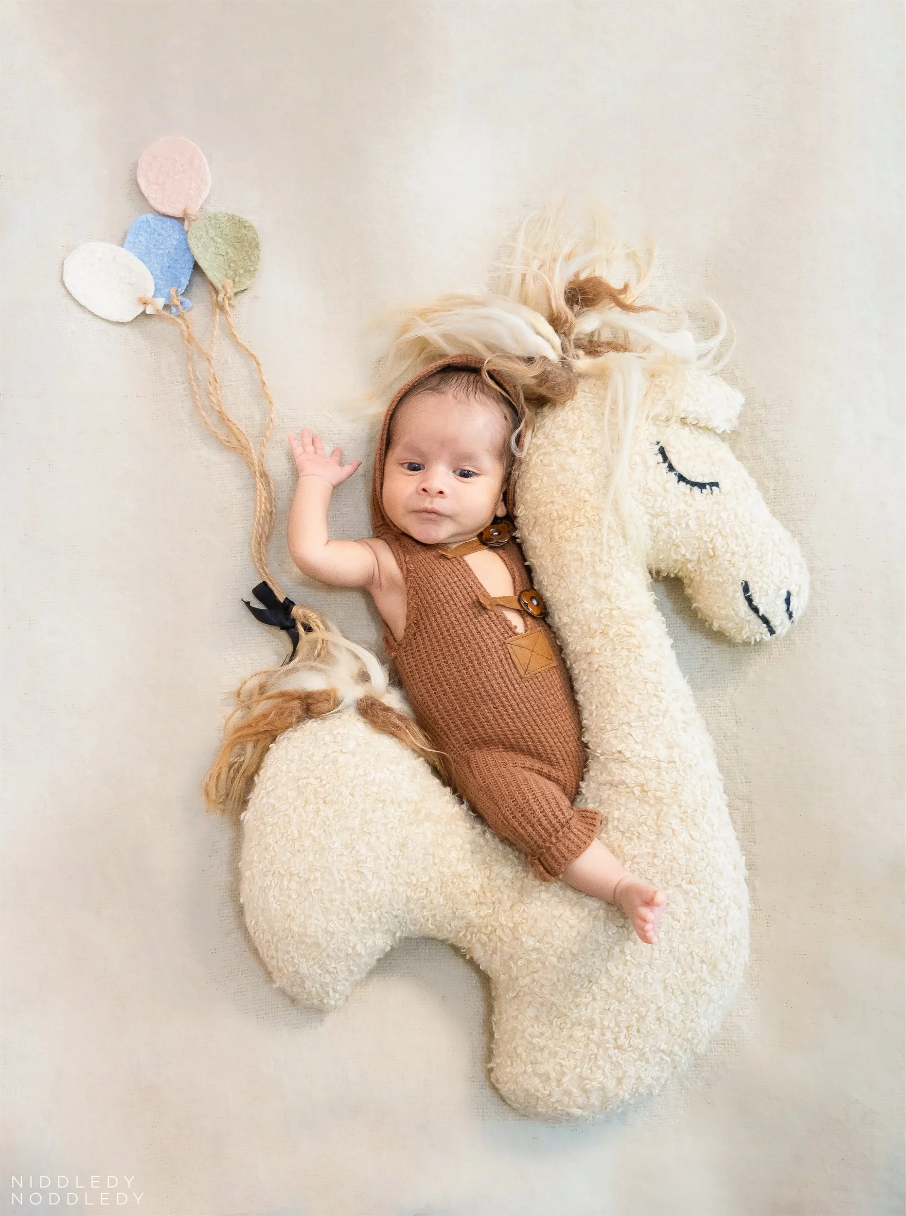 Shiven Newborn Baby Photoshoot ❤ NiddledyNoddledy.com ~ Bumps to Babies Photographer, Kolkata - 07.jpg