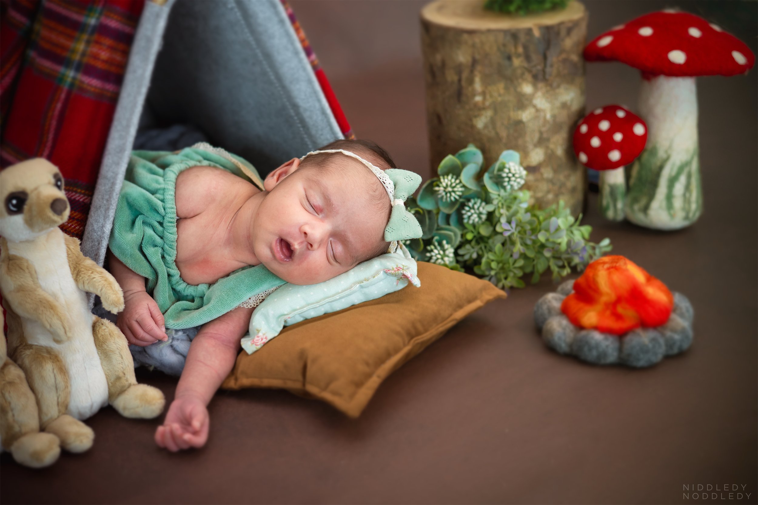 Ishaani Newborn Baby Photoshoot ❤ NiddledyNoddledy.com ~ Bumps to Babies Photographer, Kolkata - 03.jpg