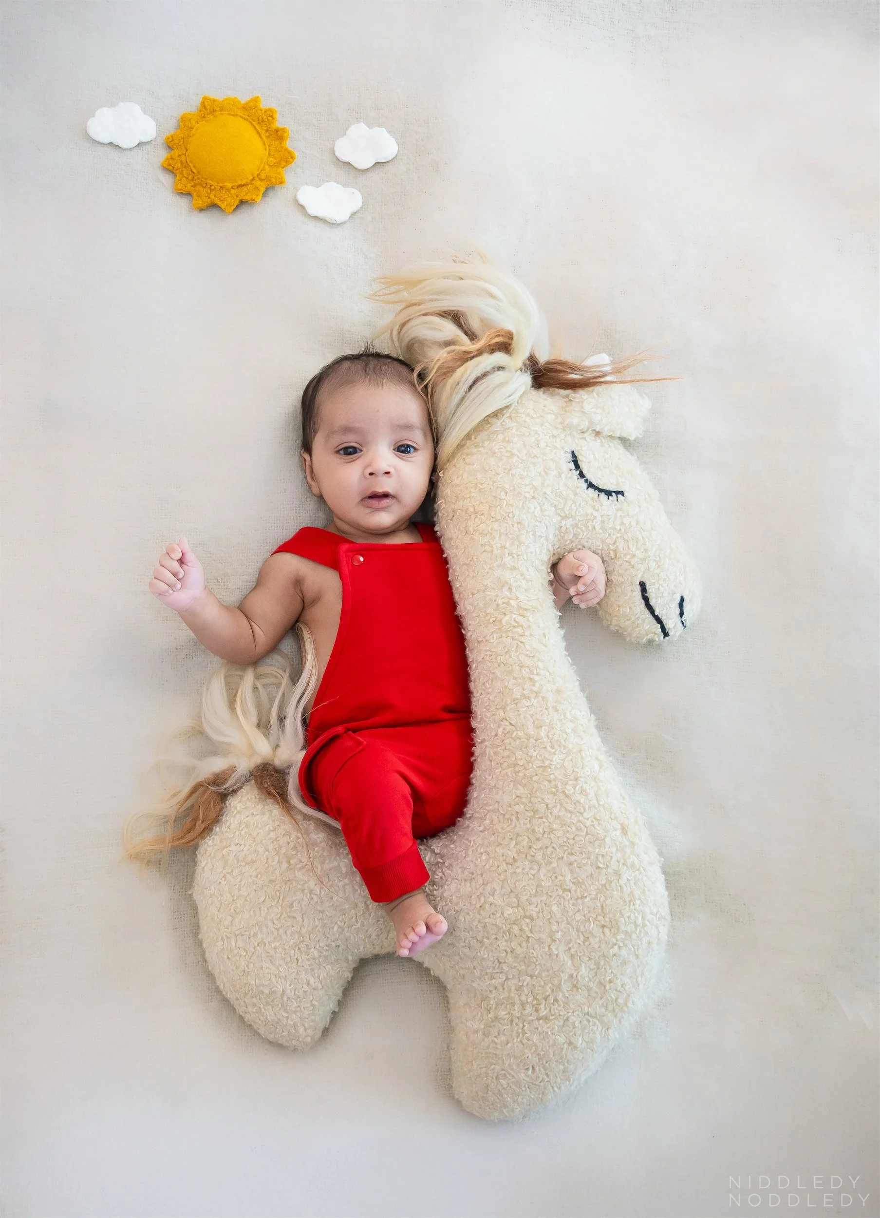 Praneel Newborn Baby Photoshoot ❤ NiddledyNoddledy.com ~ Bumps to Babies Photography, Kolkata - 04.jpg
