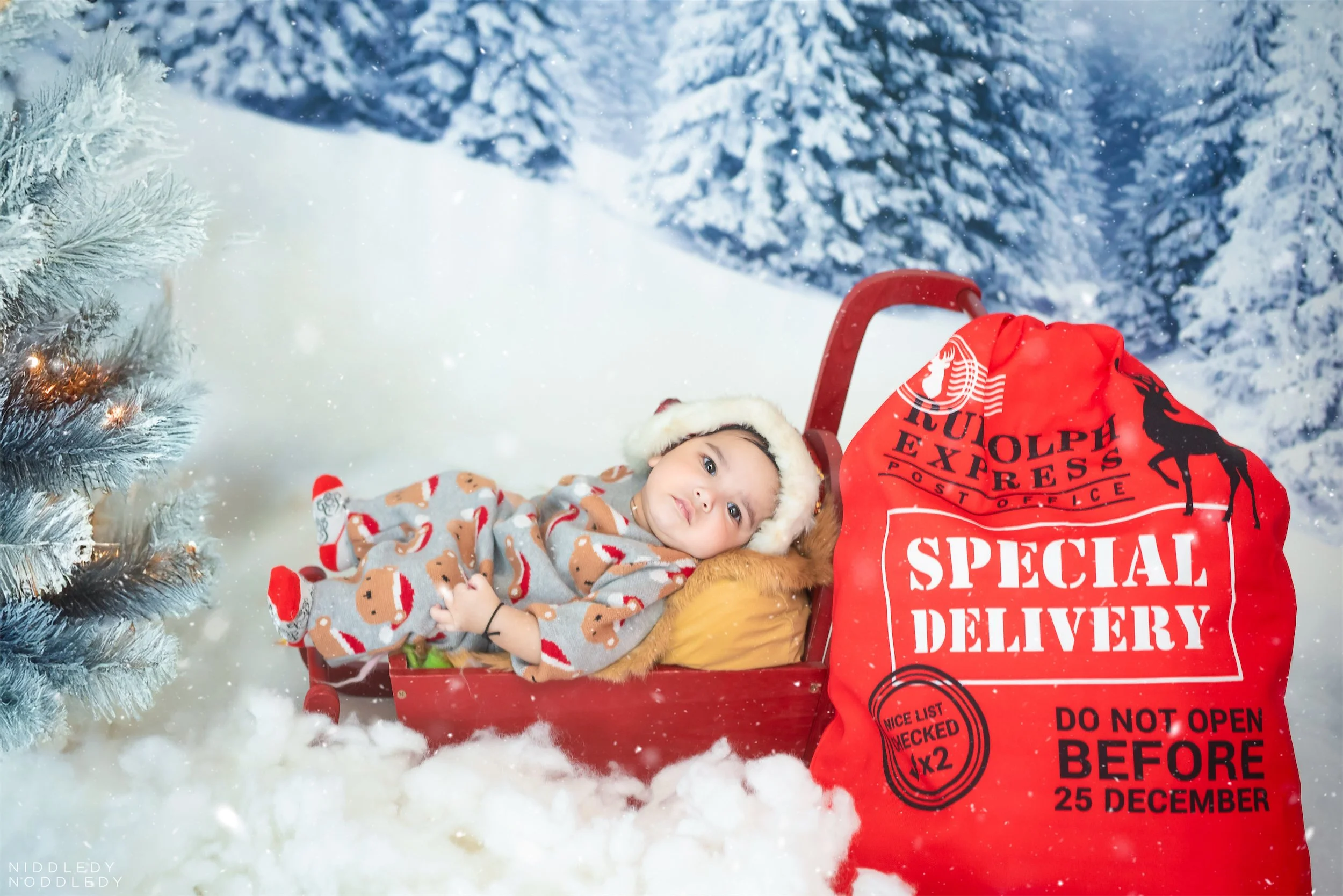 Viransh Baby Photoshoot ❤ NiddledyNoddledy.com ~ Bumps to Babies Photography, Kolkata - 06 .jpg