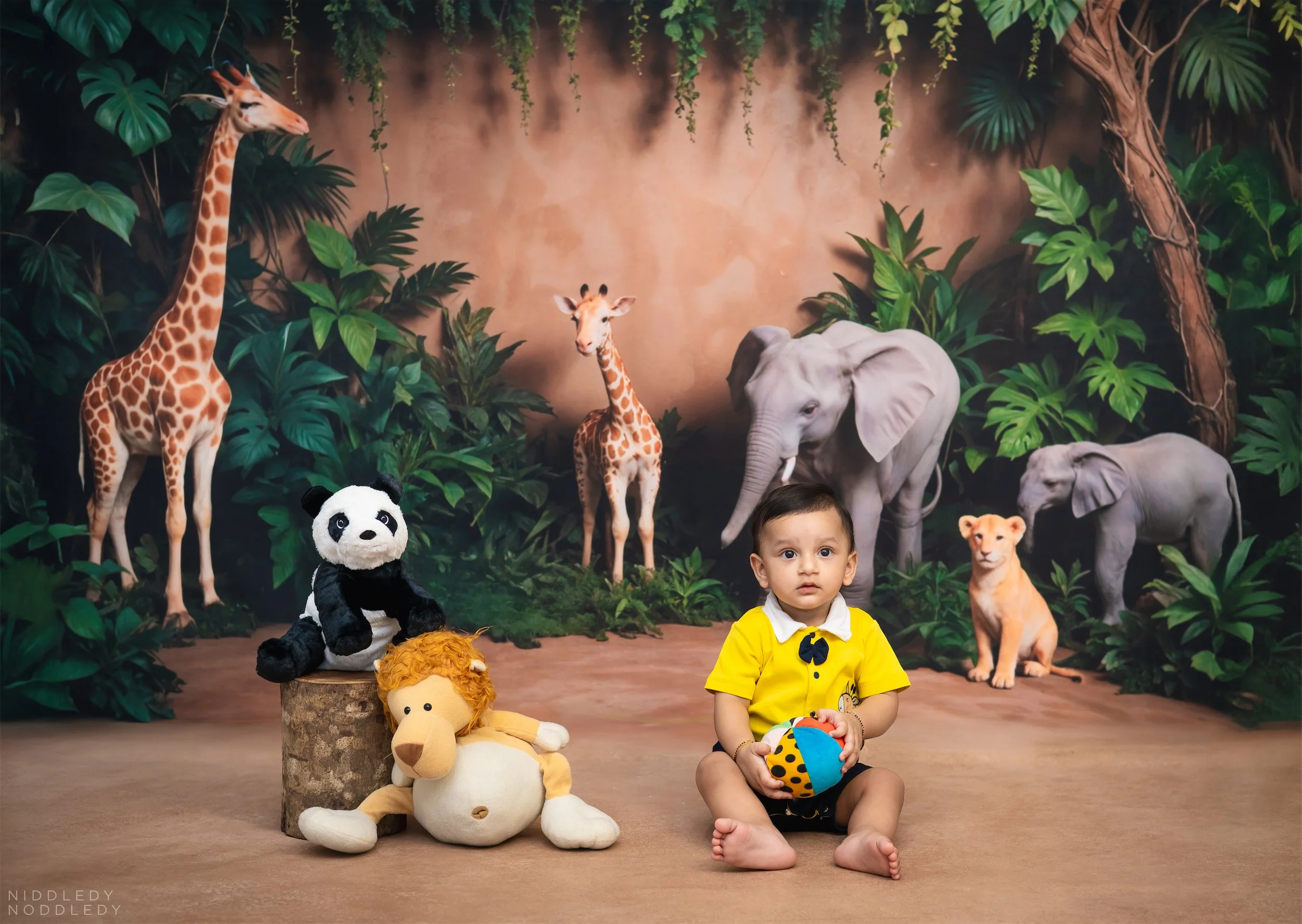 Sourya Baby Photoshoot ❤ NiddledyNoddledy.com ~ Bumps to Babies Photographer, Kolkata - 06.jpg