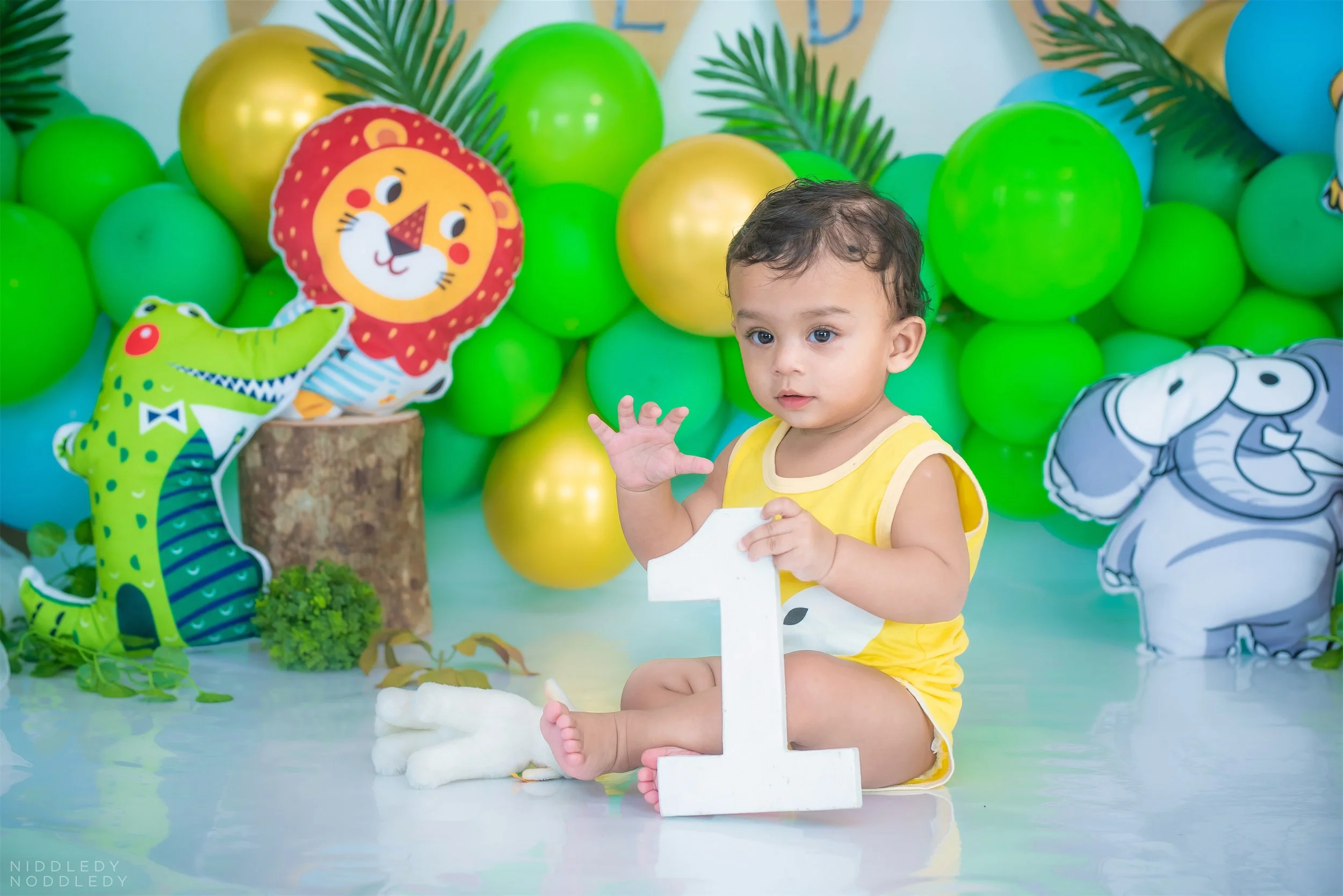 Adhyansh Baby Photoshoot ❤ NiddledyNoddledy.com ~ Bumps to Babies Photography, Kolkata - 02.jpg