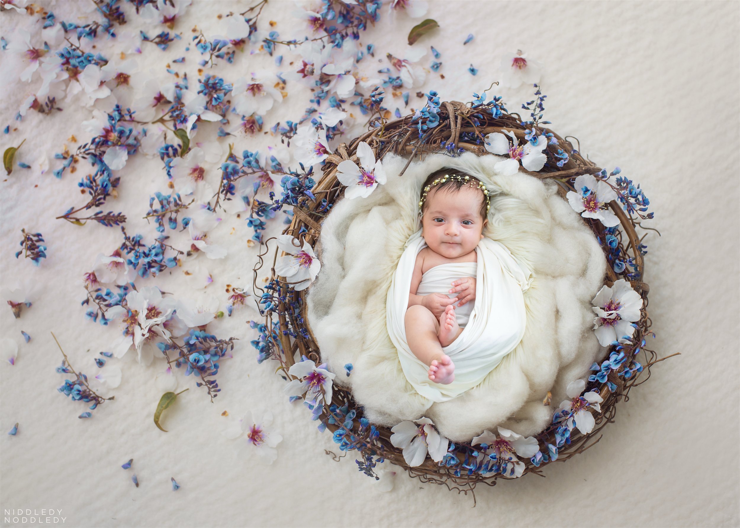 Amohaa Shivaay Newborn Twins Baby Photoshoot ❤ NiddledyNoddledy.com ~ Bumps to Babies Photography, Kolkata - 16.jpg