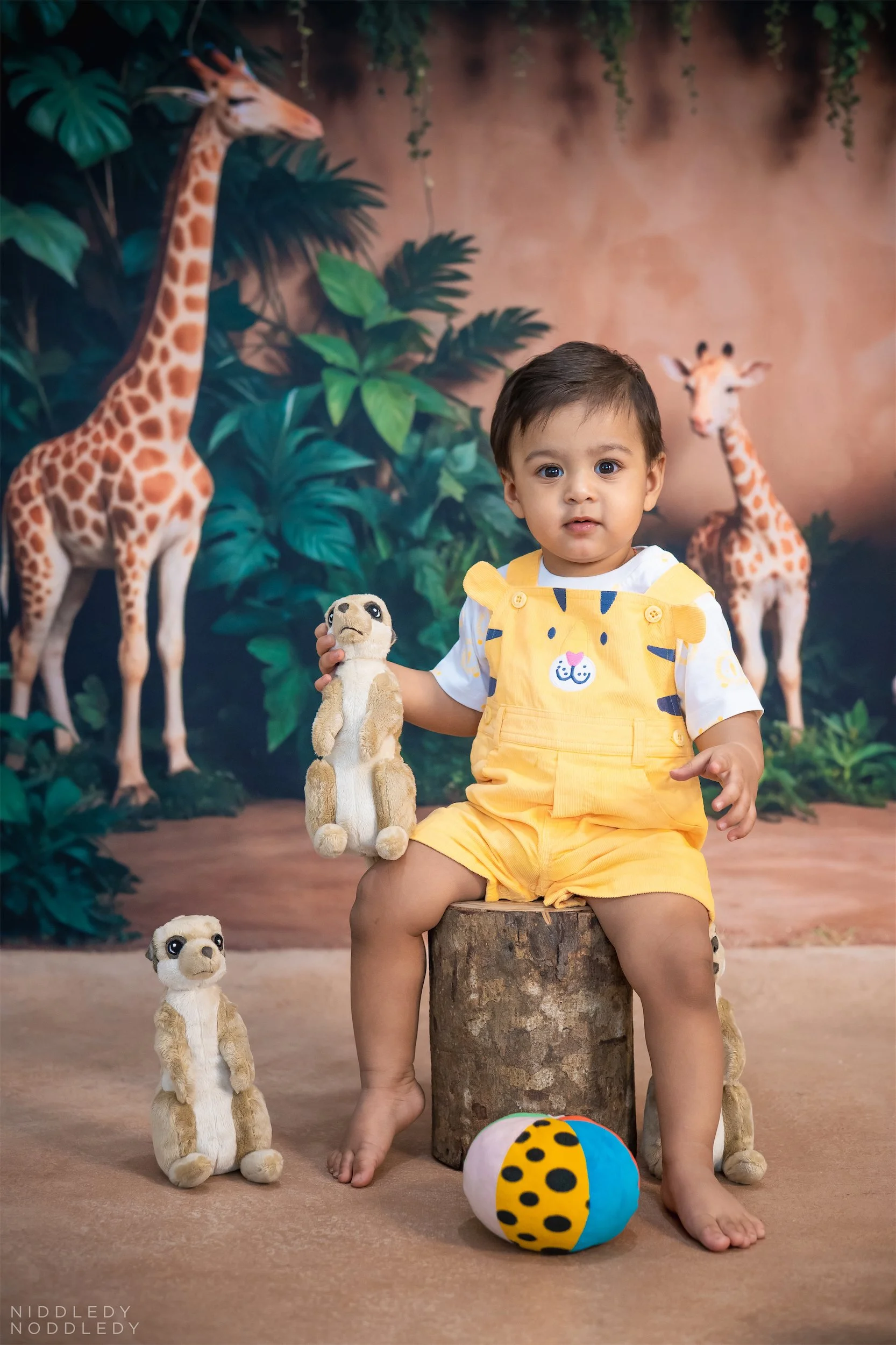 Ditansh Kids Photoshoot ❤ NiddledyNoddledy.com ~ Bumps to Babies Photographer, Kolkata - 05.jpg