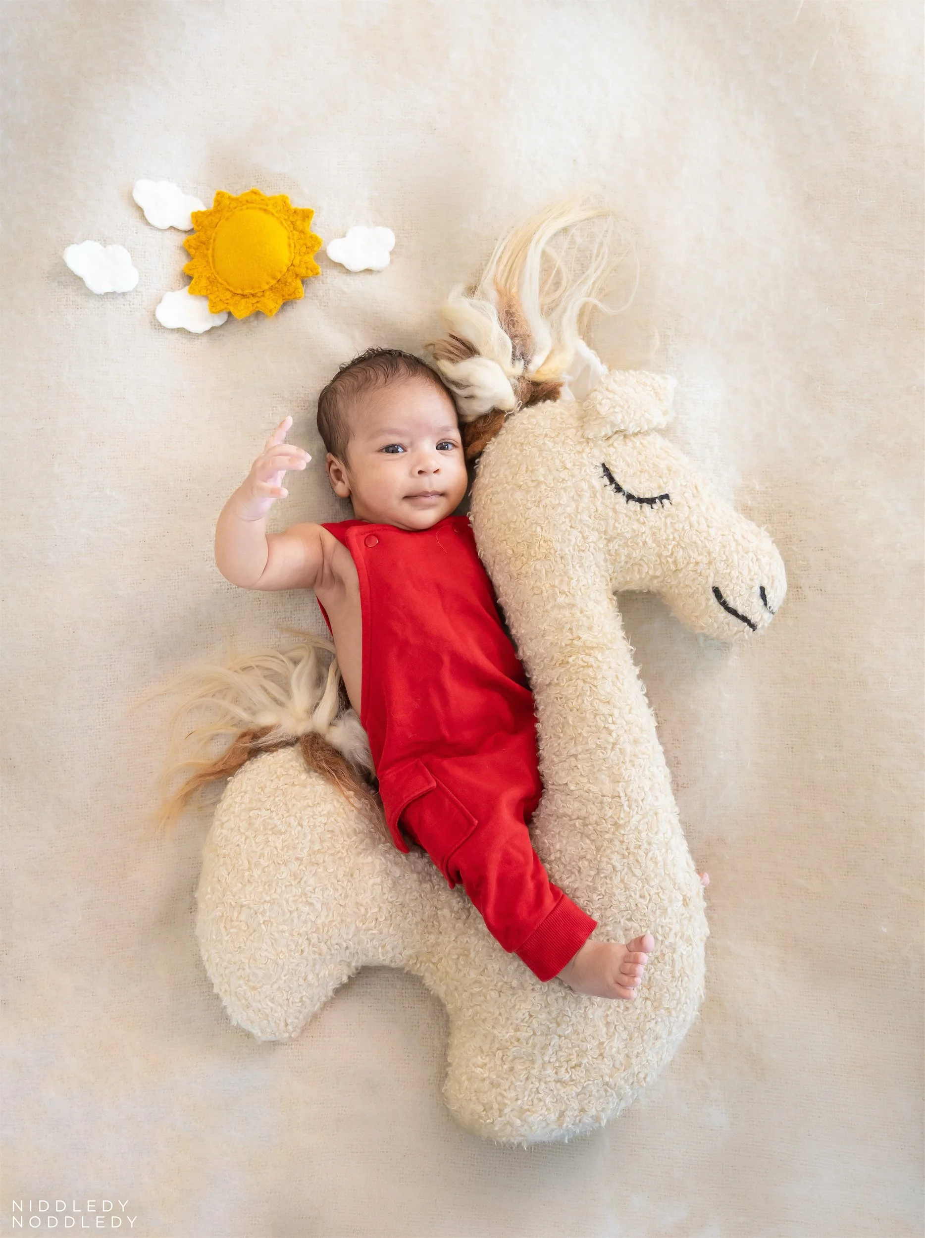 Udyot Newborn Baby Photoshoot ❤ NiddledyNoddledy.com ~ Bumps to Babies Photographer, Kolkata - 04.jpg
