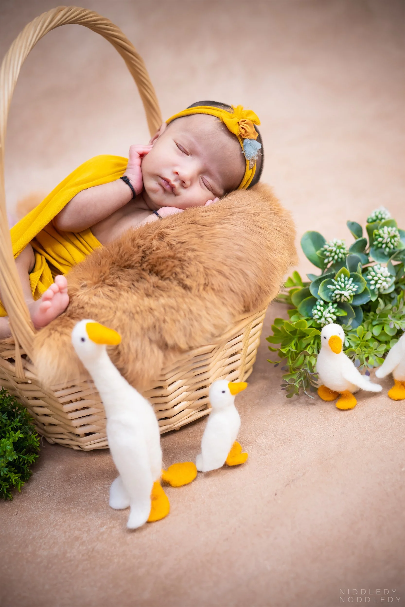 Alyana Newborn Baby Photoshoot ❤ NiddledyNoddledy.com ~ Bumps to Babies Photography, Kolkata - 05.jpg