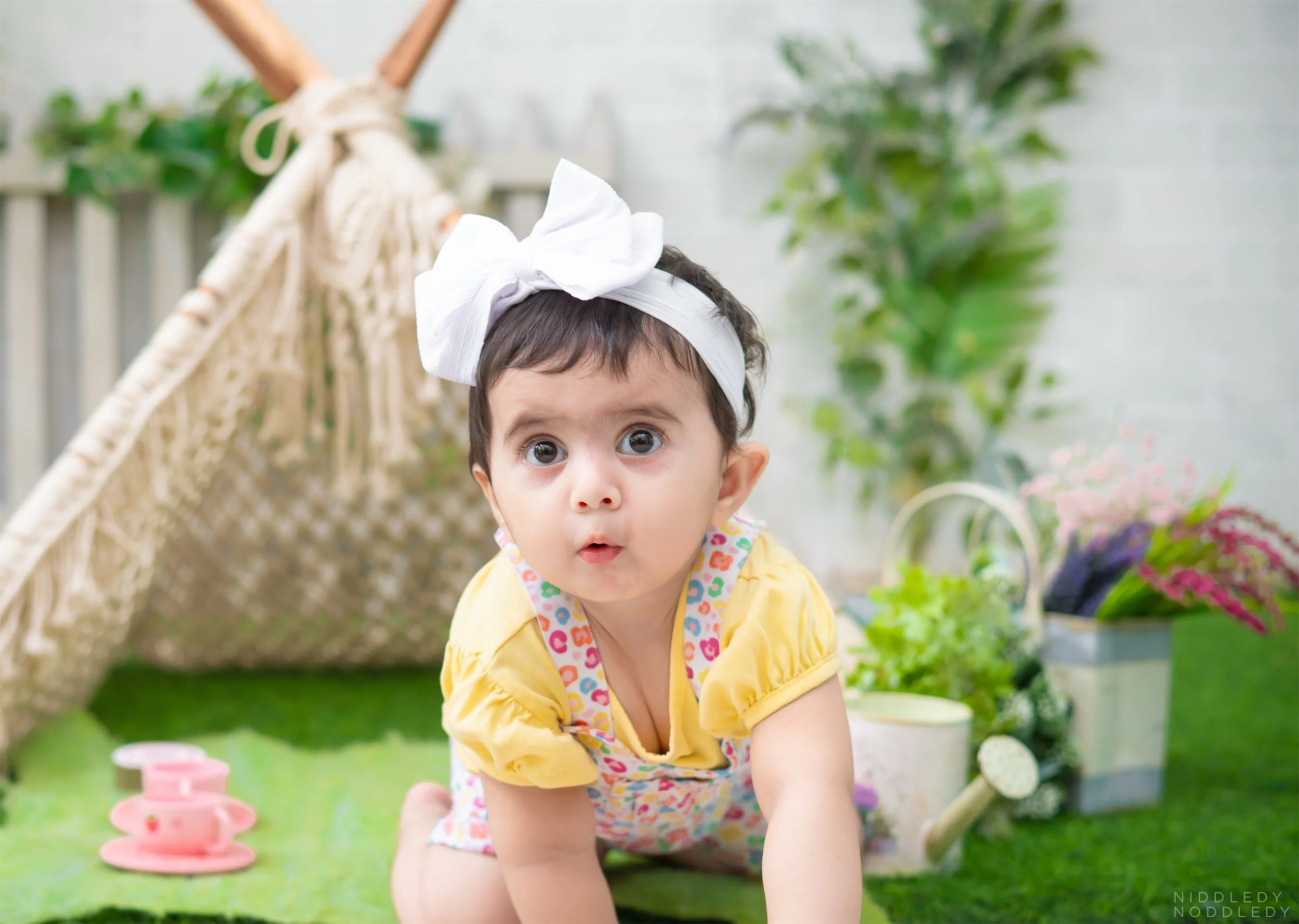 Shiza Baby Cakesmash Photoshoot ❤ NiddledyNoddledy.com ~ Bumps to Babies Photography, Kolkata - 02.jpg
