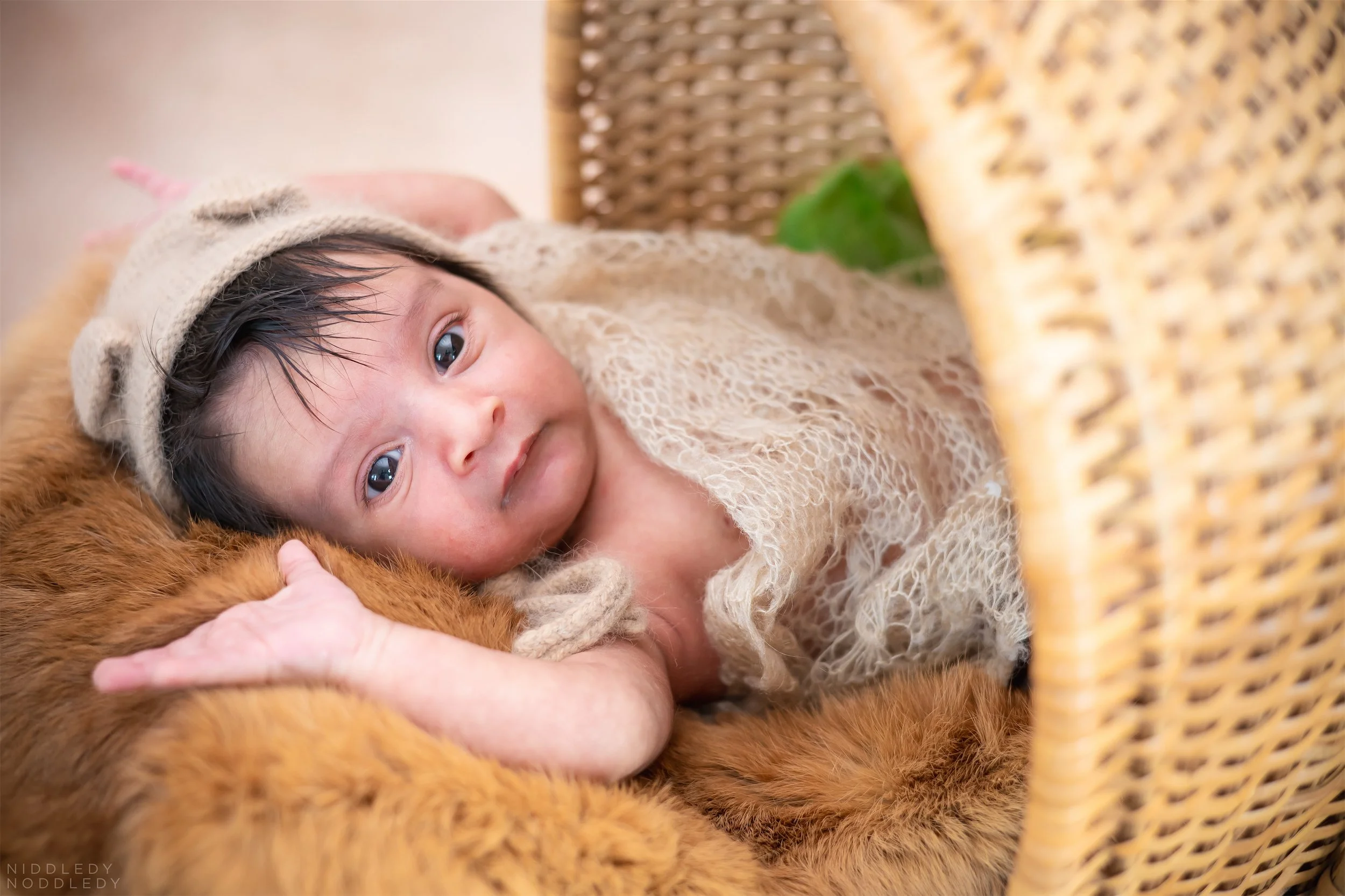 Deven Newborn Baby Photoshoot ❤ NiddledyNoddledy.com ~ Bumps to Babies Photography, Kolkata - 12.jpg
