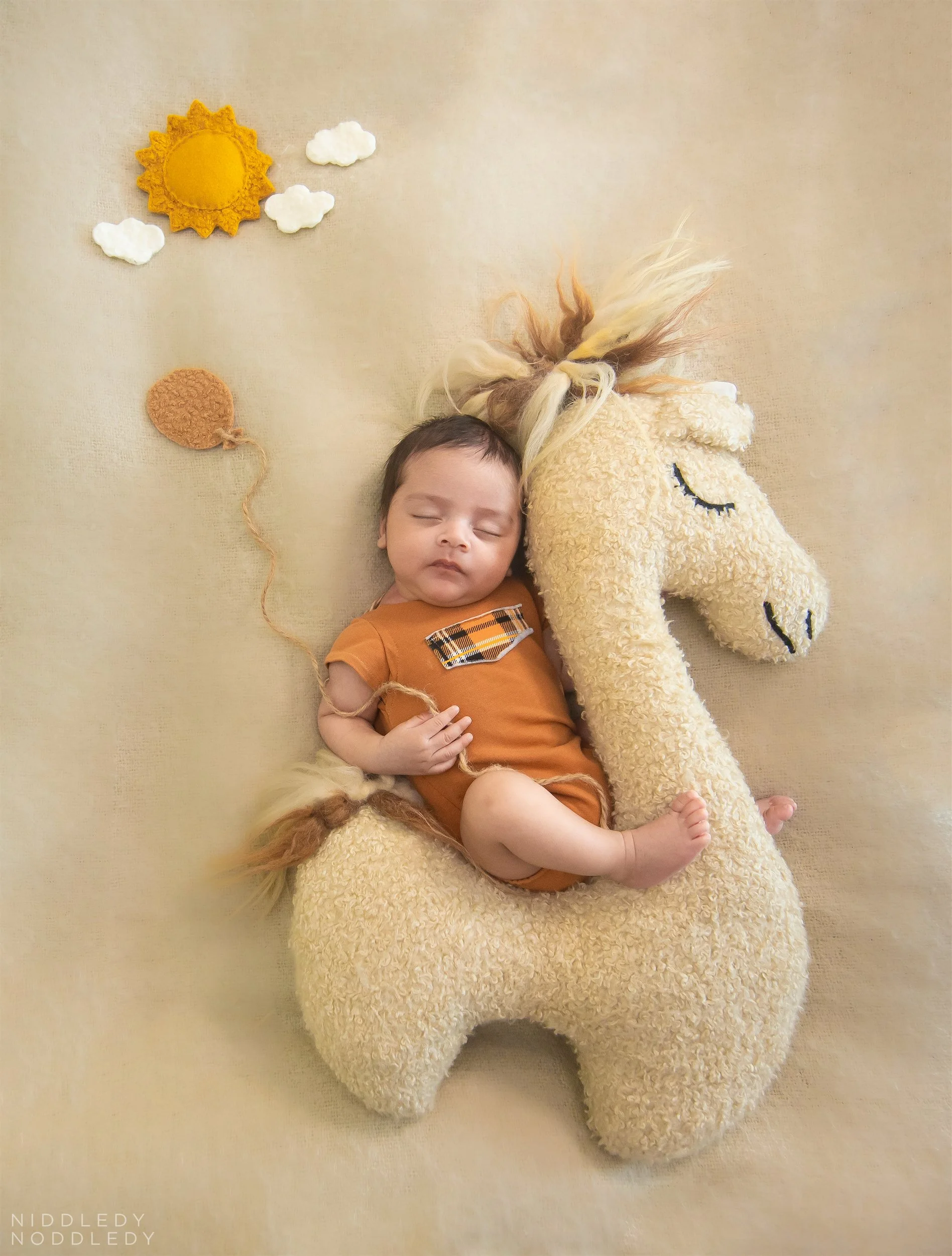 Adrith Newborn Baby Photoshoot ❤ NiddledyNoddledy.com ~ Bumps to Babies Photography, Kolkata - 12.jpg