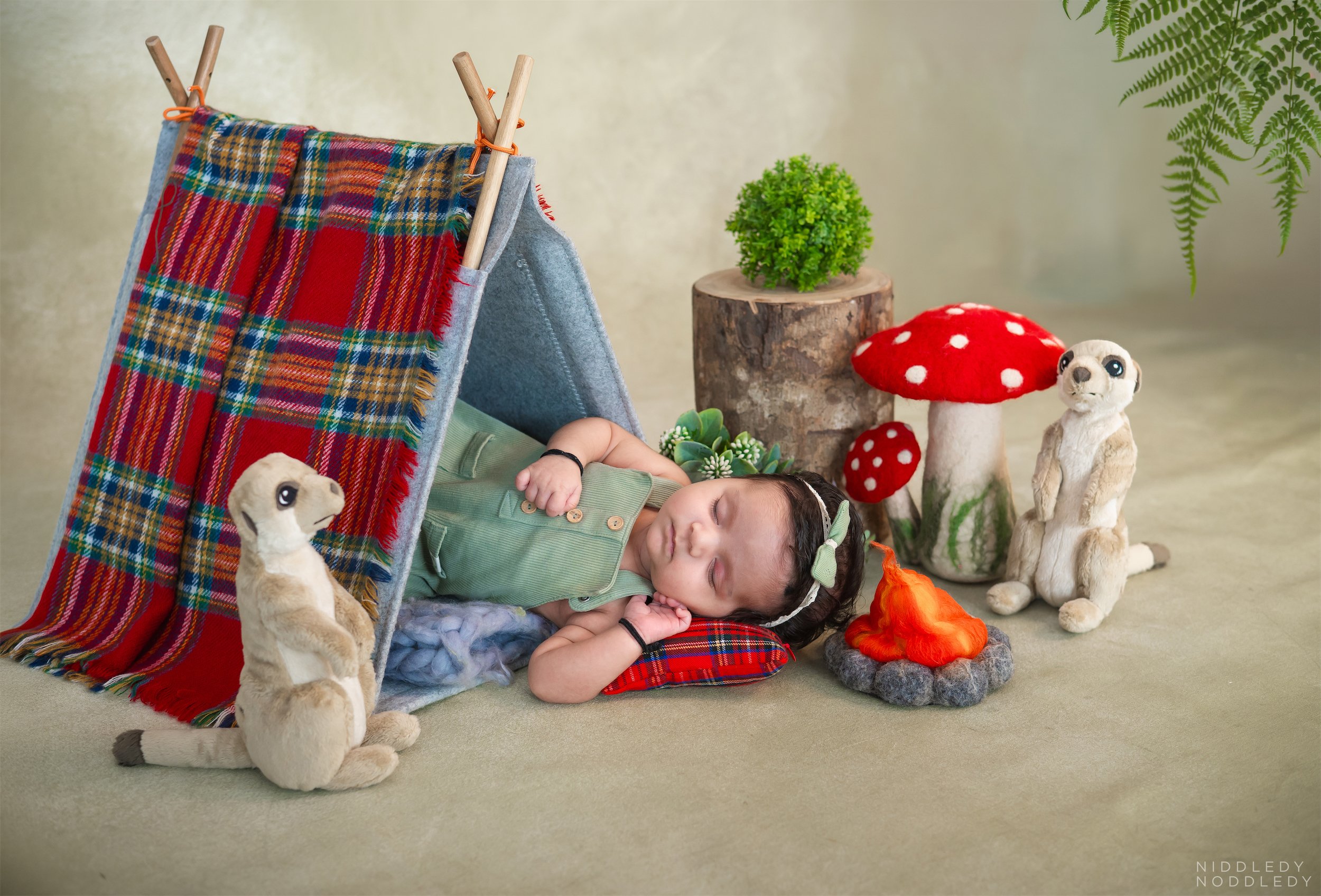 Shloka Newborn Baby Photoshoot ❤ NiddledyNoddledy.com ~ Bumps to Babies Photographer, Kolkata - 02.jpg