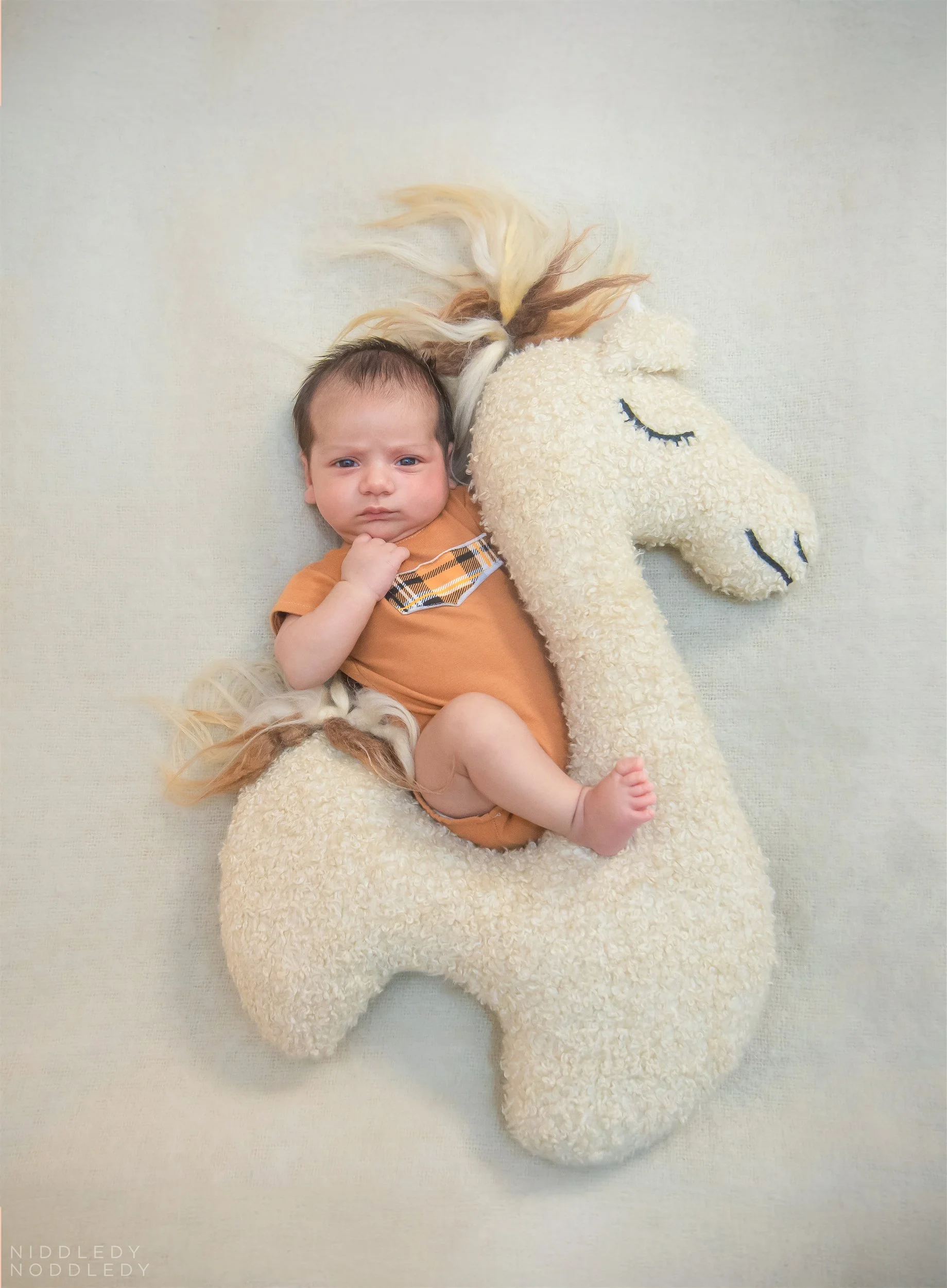 Purvansh Newborn Baby Photoshoot ❤ NiddledyNoddledy.com ~ Bumps to Babies Photography, Kolkata - 12.jpg