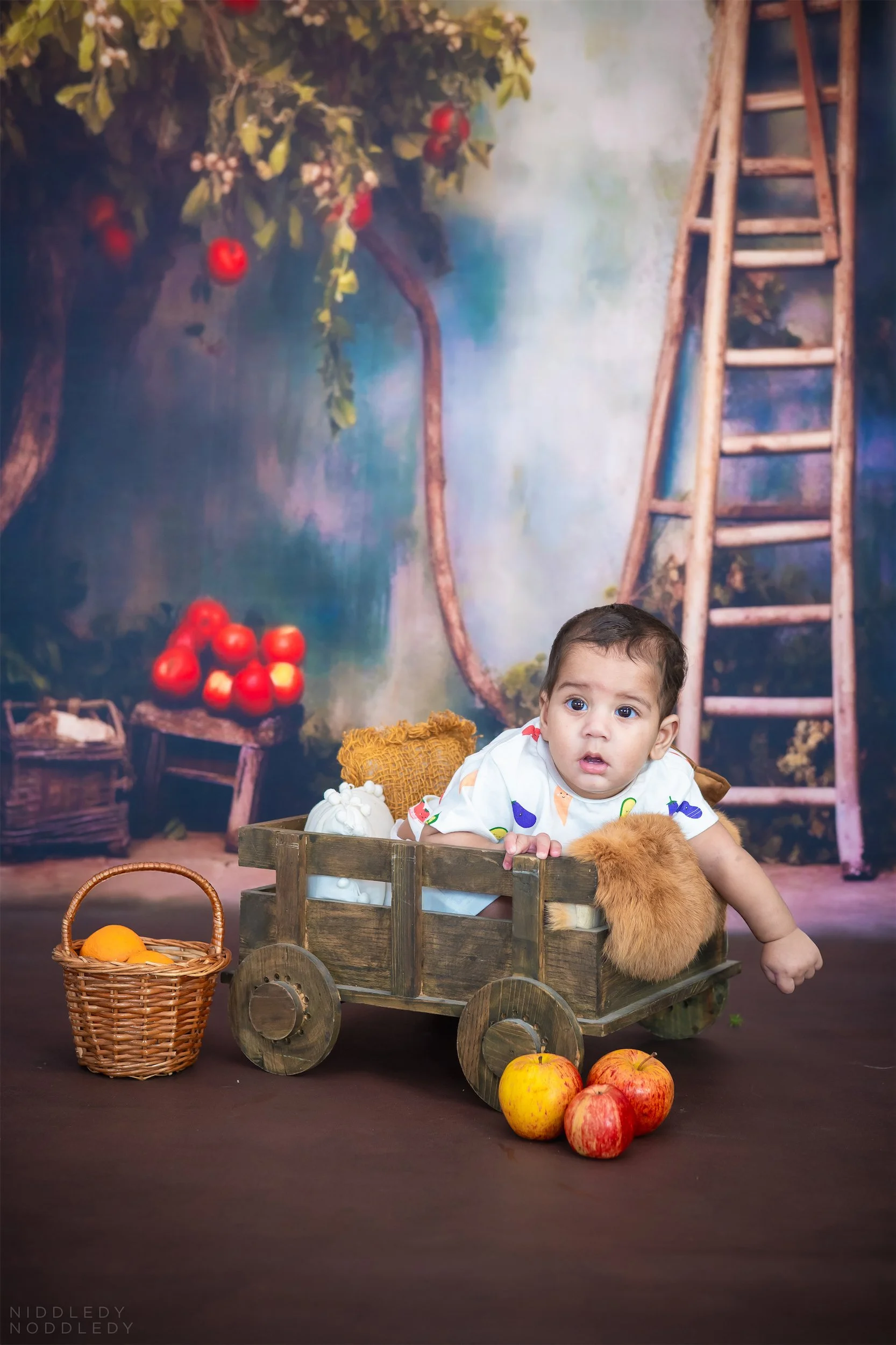 Ashwath Skandhavi Twins Baby Photoshoot ❤ NiddledyNoddledy.com ~ Bumps to Babies Photographer, Kolkata - 05.jpg