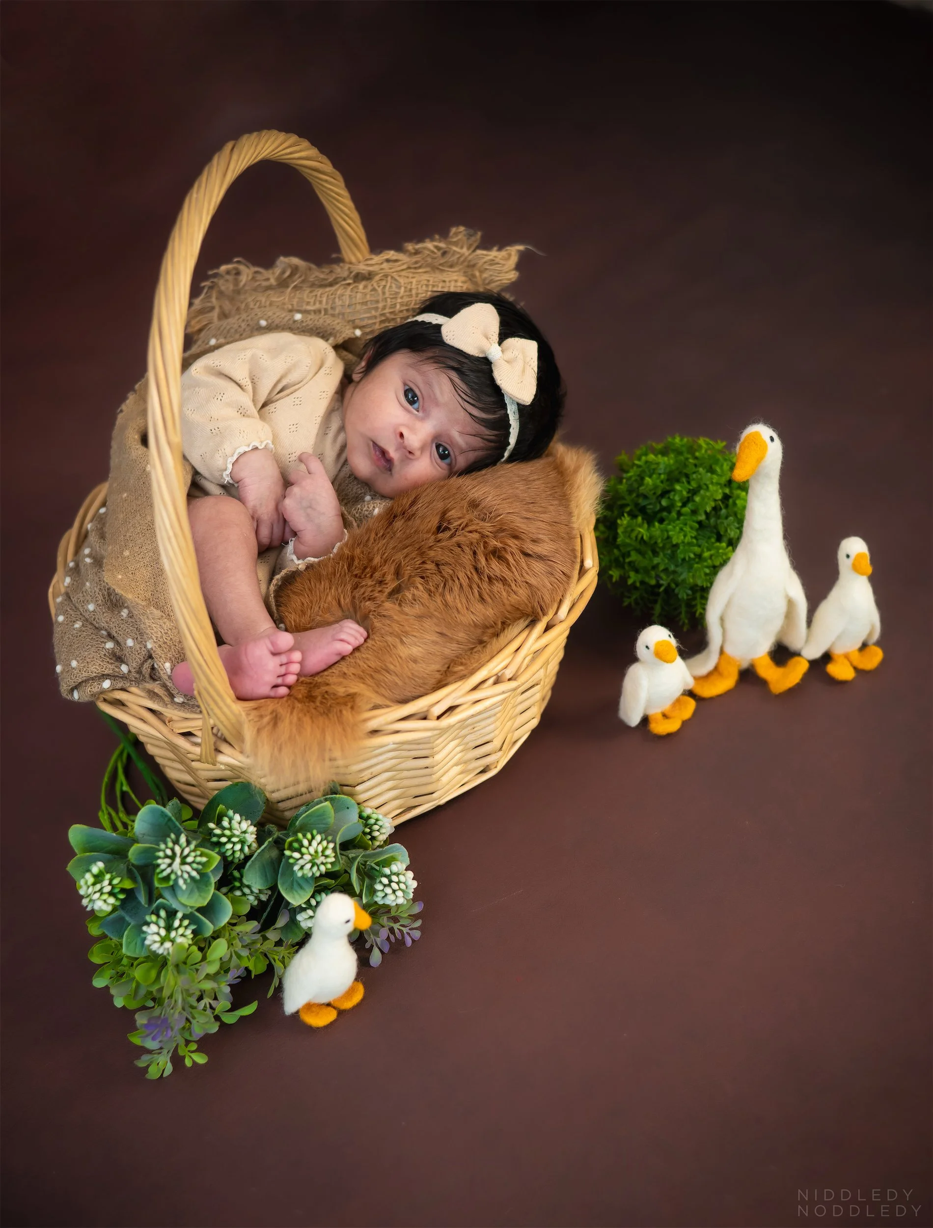 Anvie Newborn Baby Photoshoot ❤ NiddledyNoddledy.com ~ Bumps to Babies Photography, Kolkata - 03.jpg