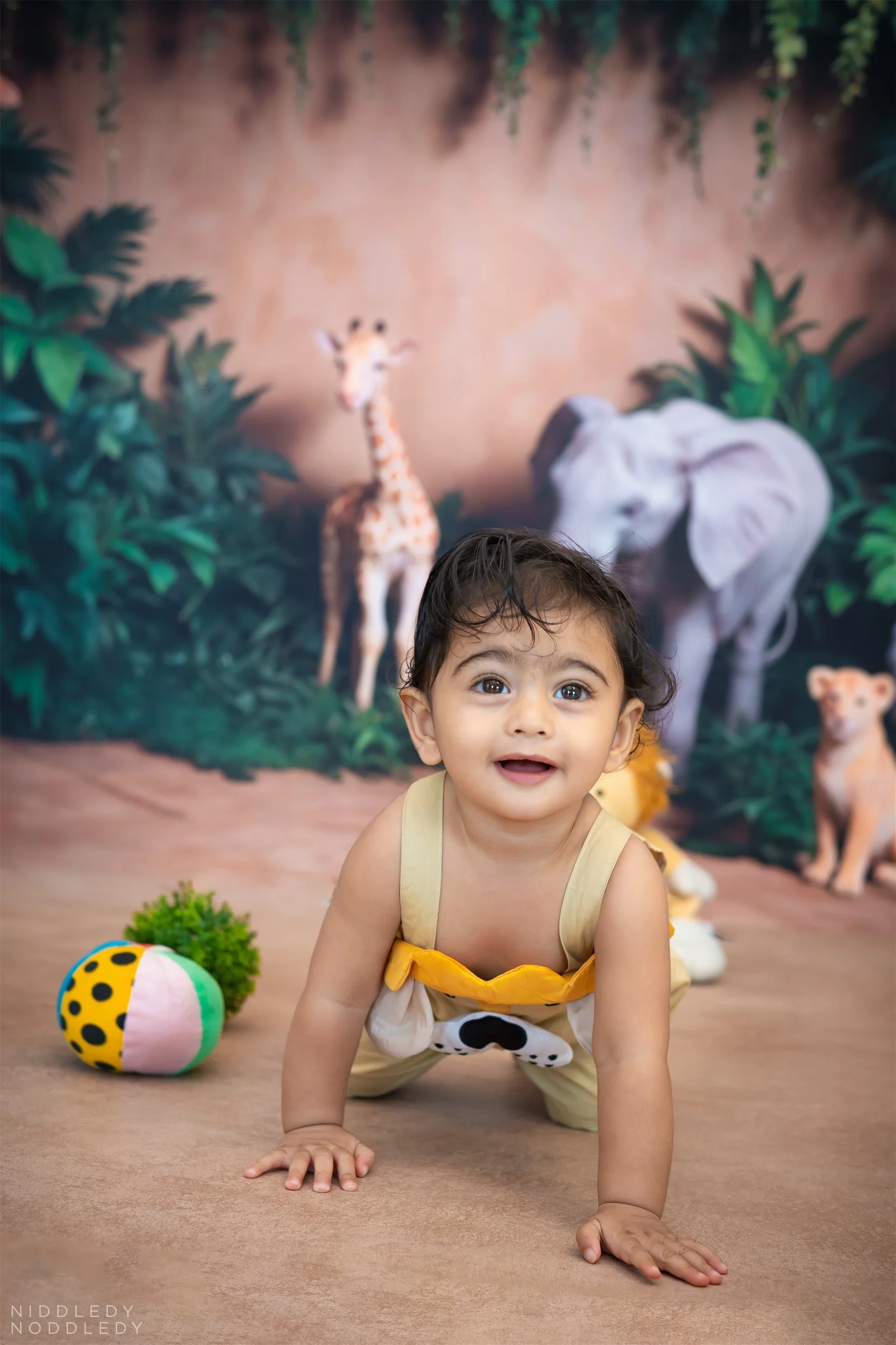 Daiwik+Baby+Cakesmash+Photoshoot+❤+NiddledyNoddledy.com+~+Bumps+to+Babies+Photographer,+Kolkata+-+07.jpg